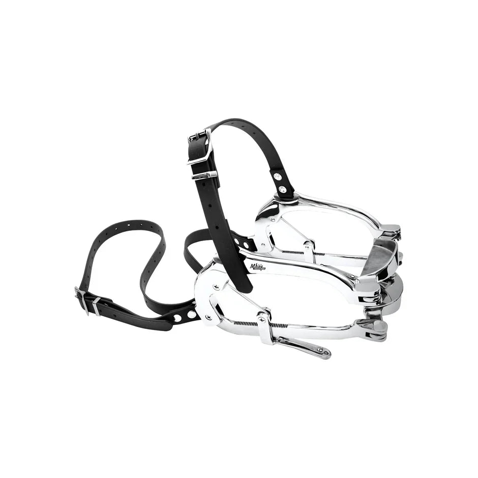 How to Use an Equine Dental Speculum