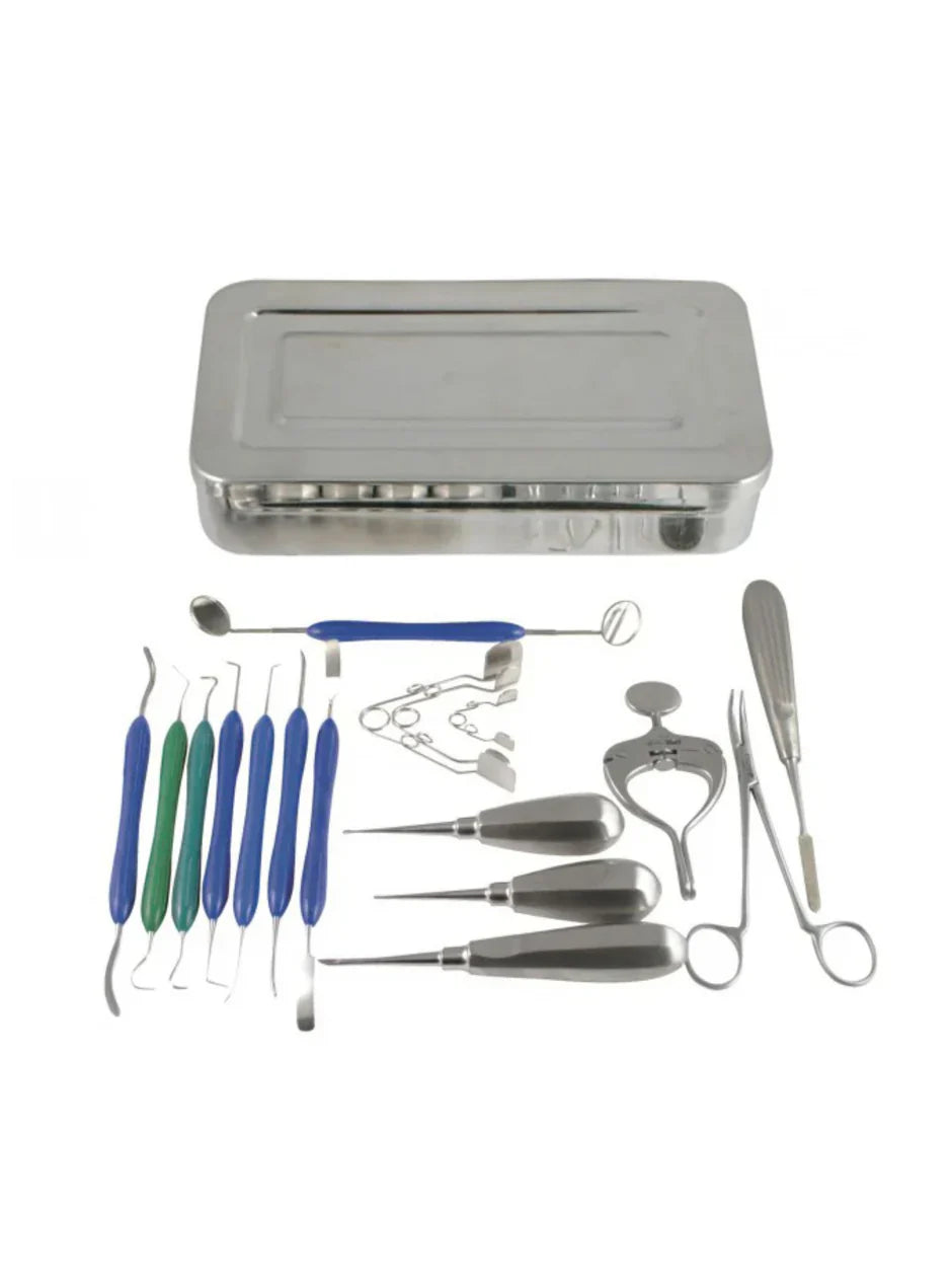 Why Is Equine Dentistry Important