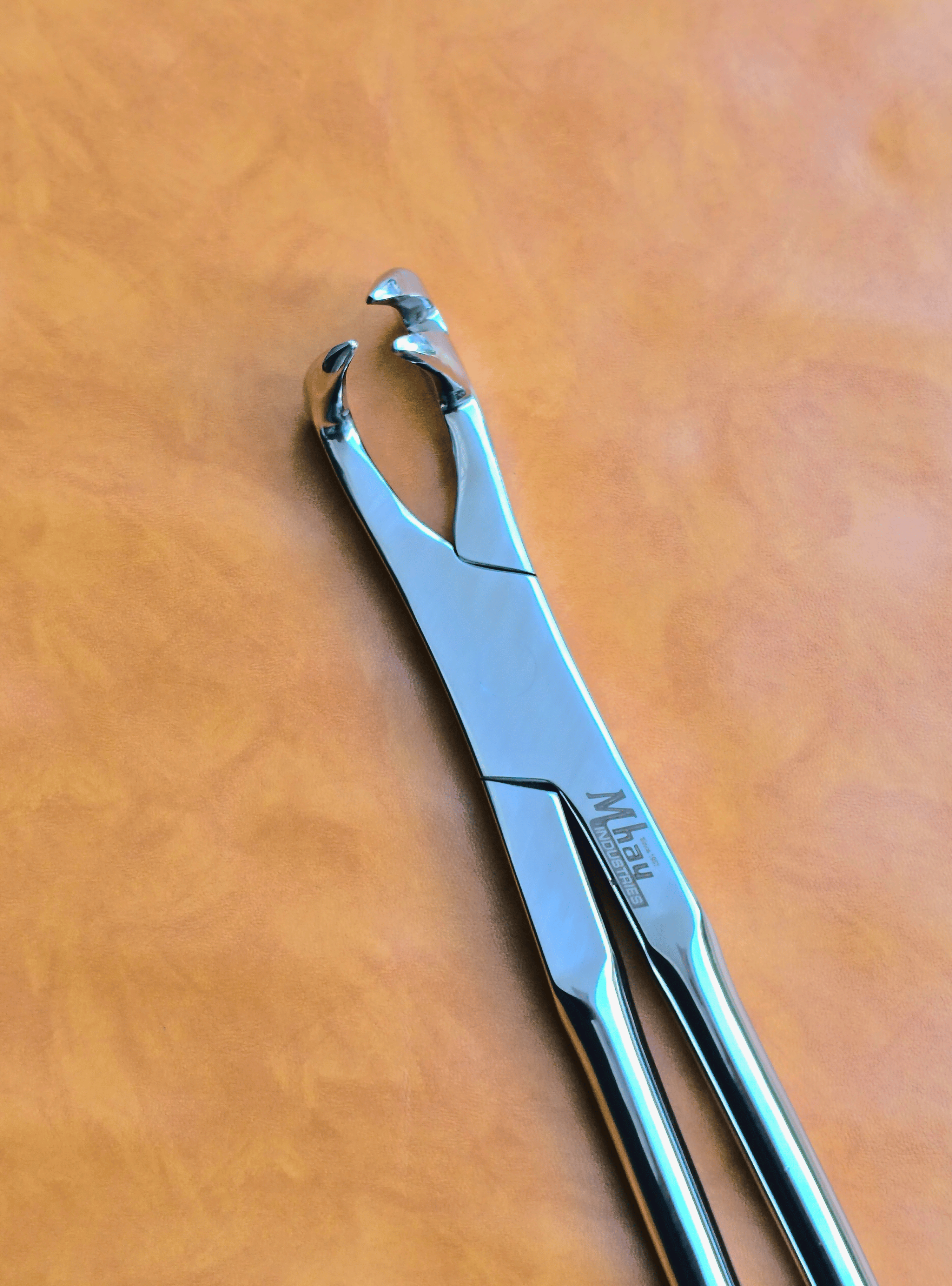 Three Prong Off Side 21"  Equine Dental Forceps