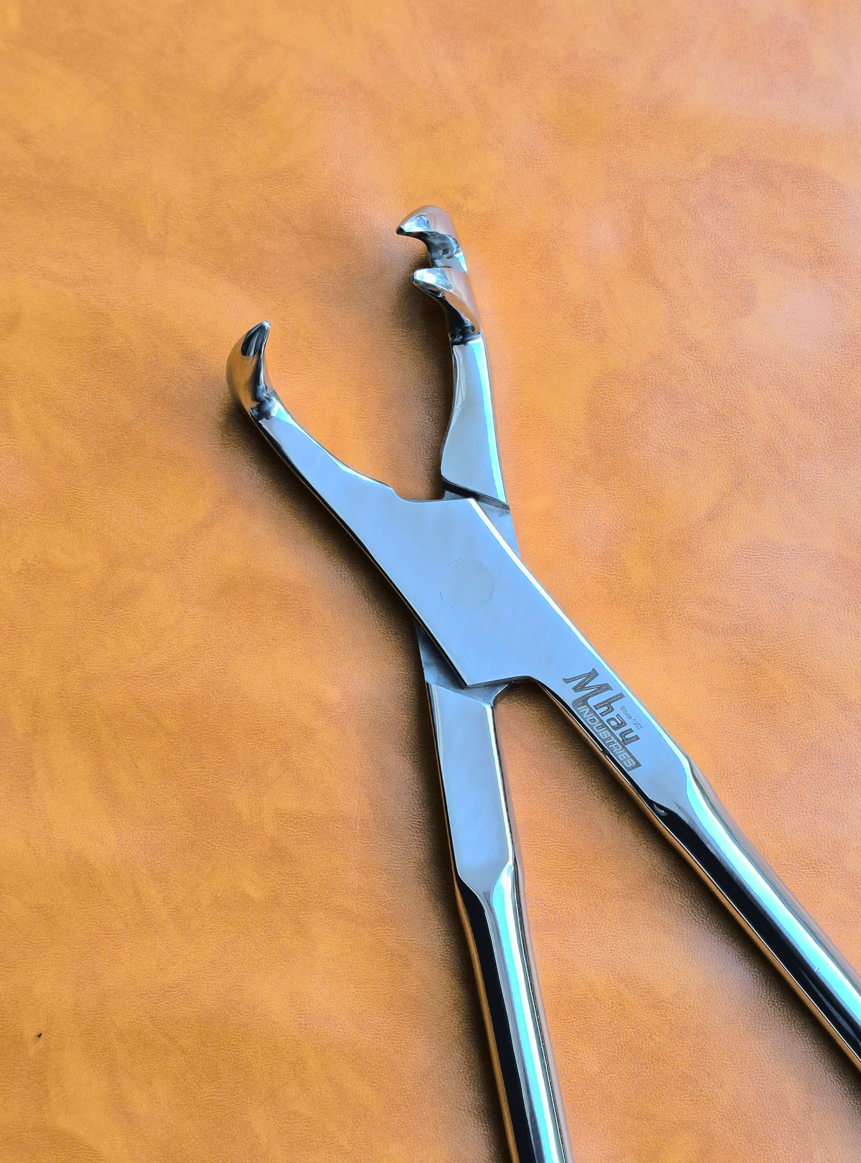 Three Prong Off Side 21"  Equine Dental Forceps