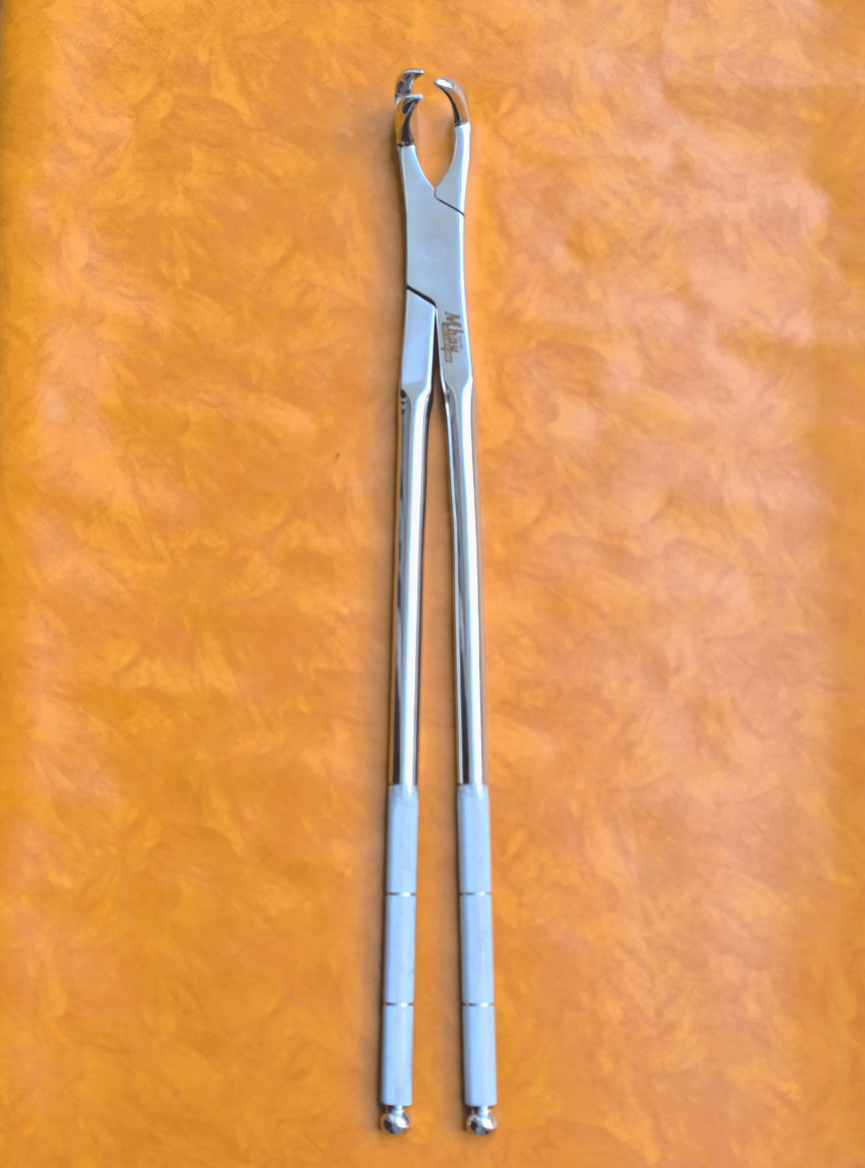 Premium Equine Zahnzange, drei Zinken an der Seite, 21 Zoll