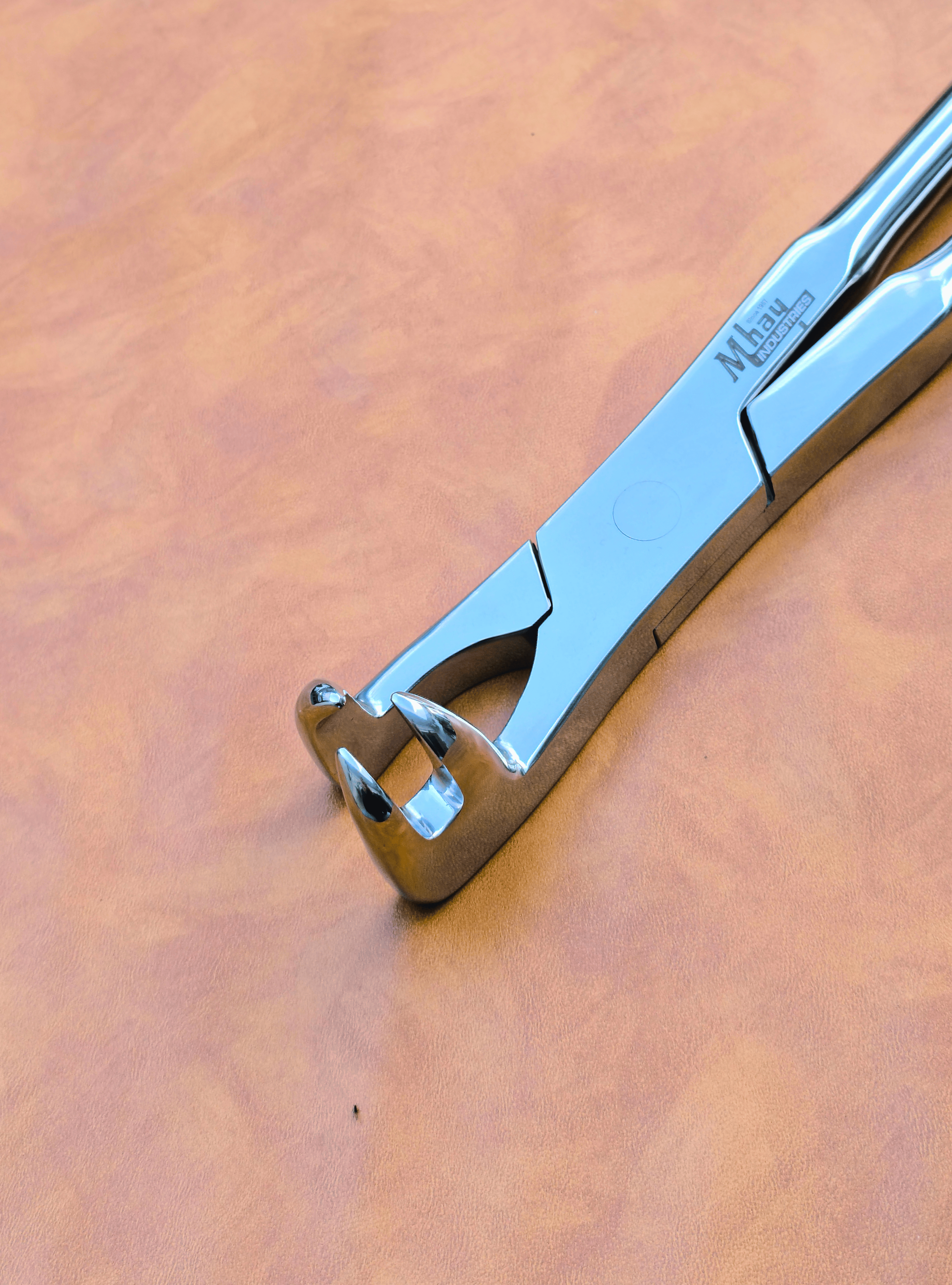 Three Prong On Side 21"  Equine Dental Forceps