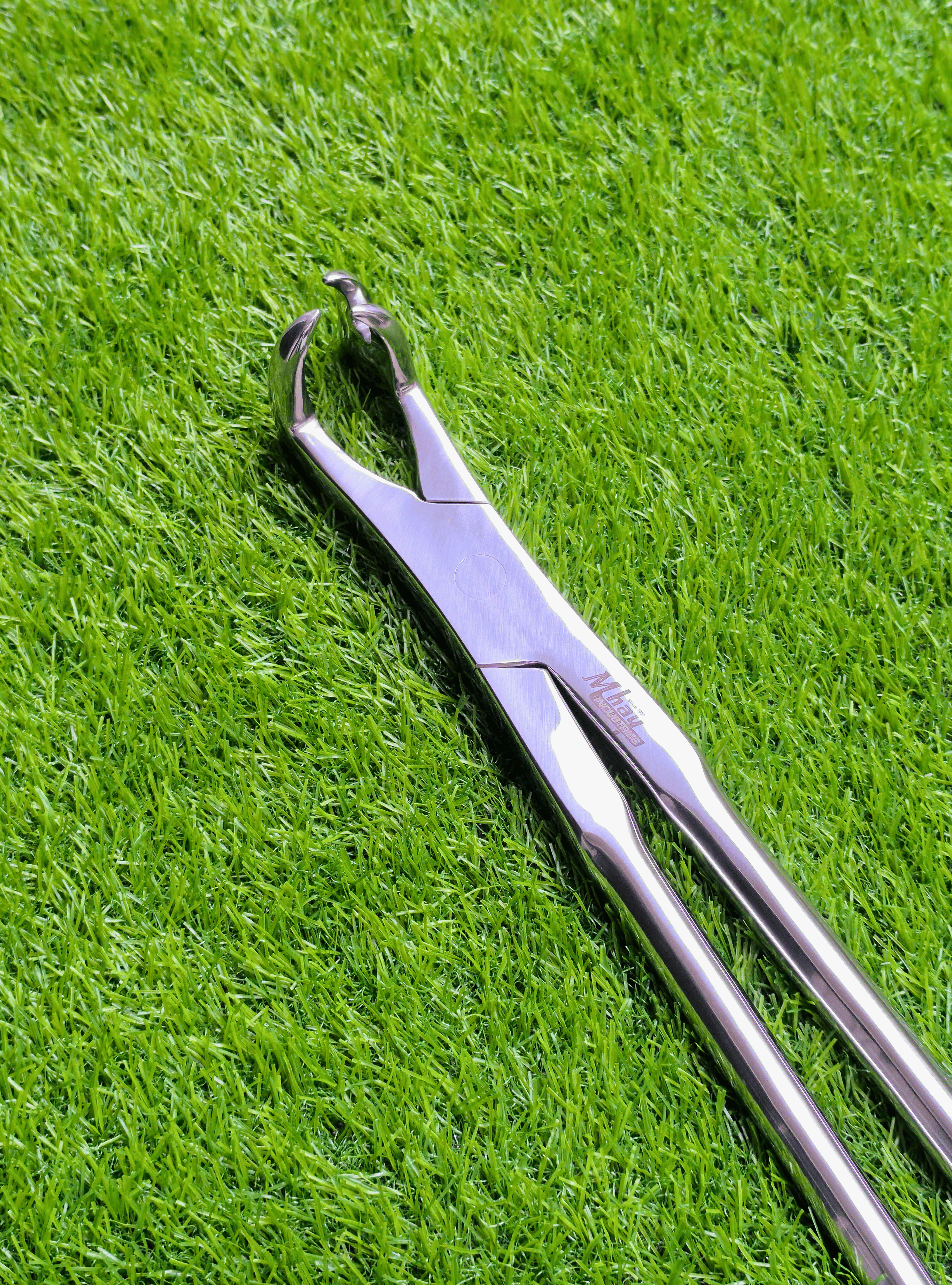 Three Prong Off Side 21"  Equine Dental Forceps