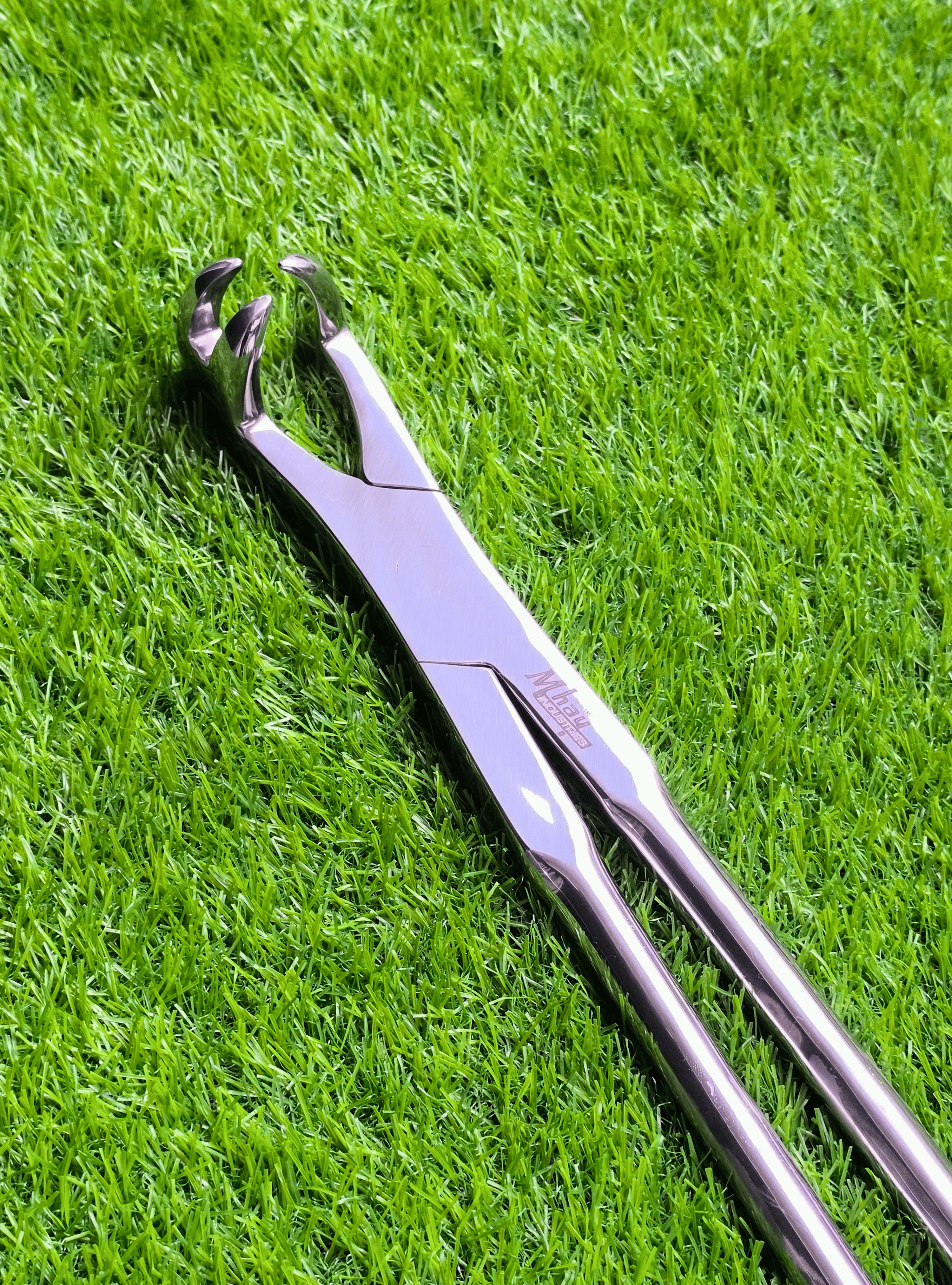 Three Prong On Side 21"  Equine Dental Forceps