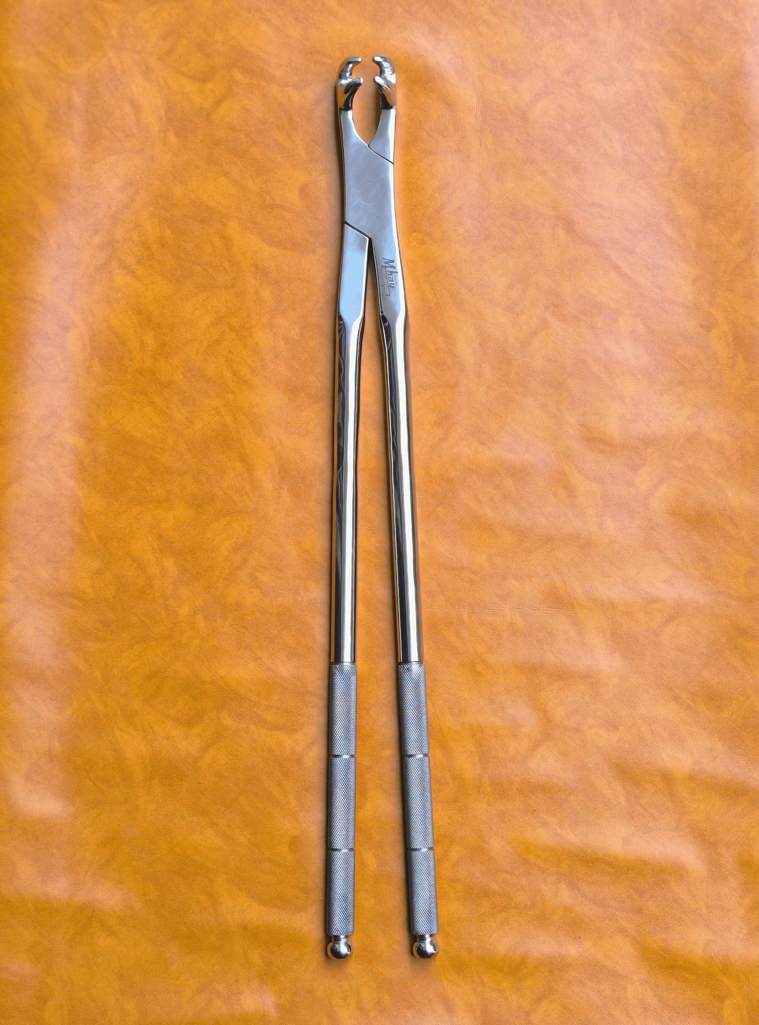 Four Prong 21"  Equine Dental Forceps