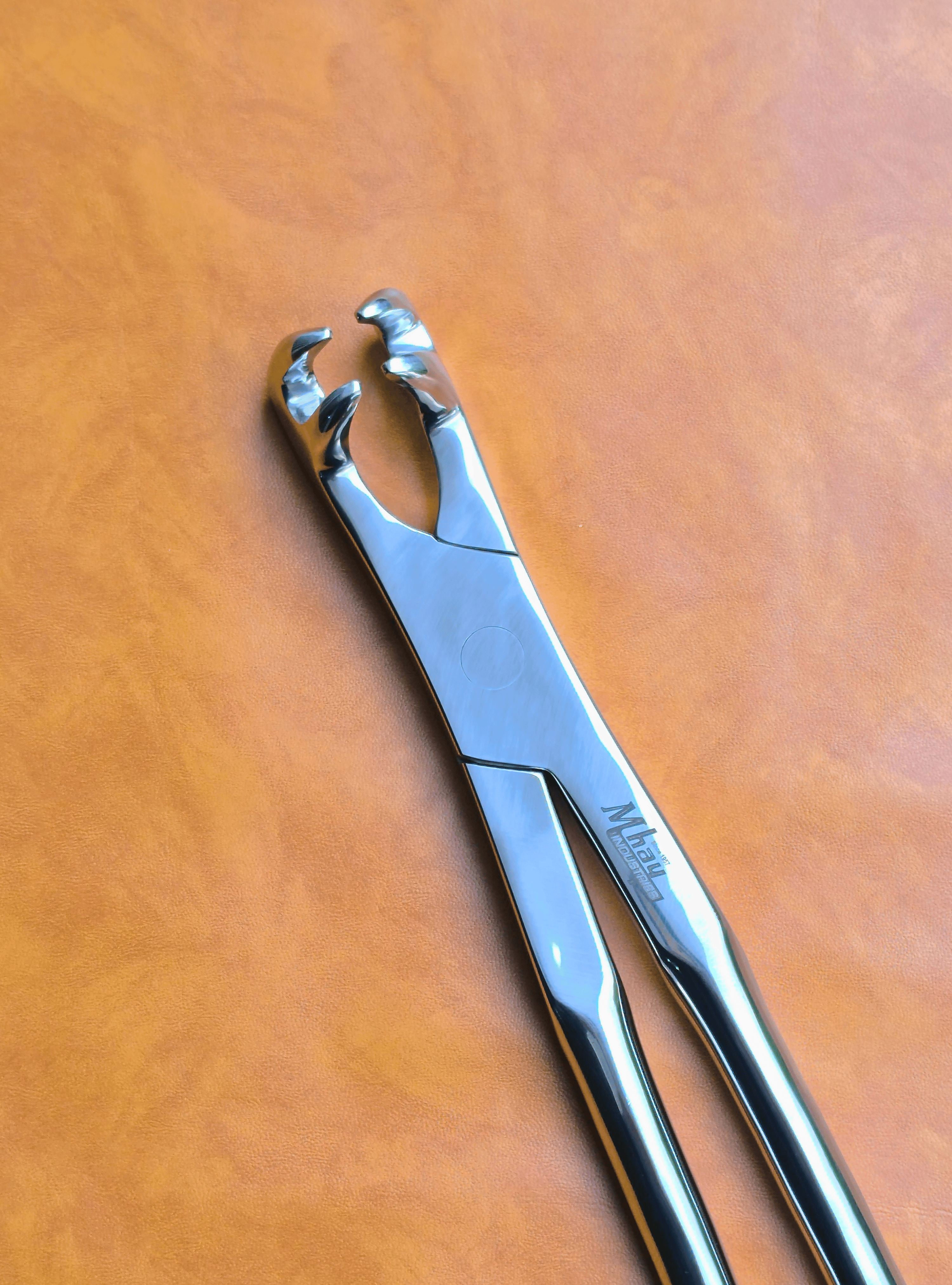 Four Prong 21"  Equine Dental Forceps