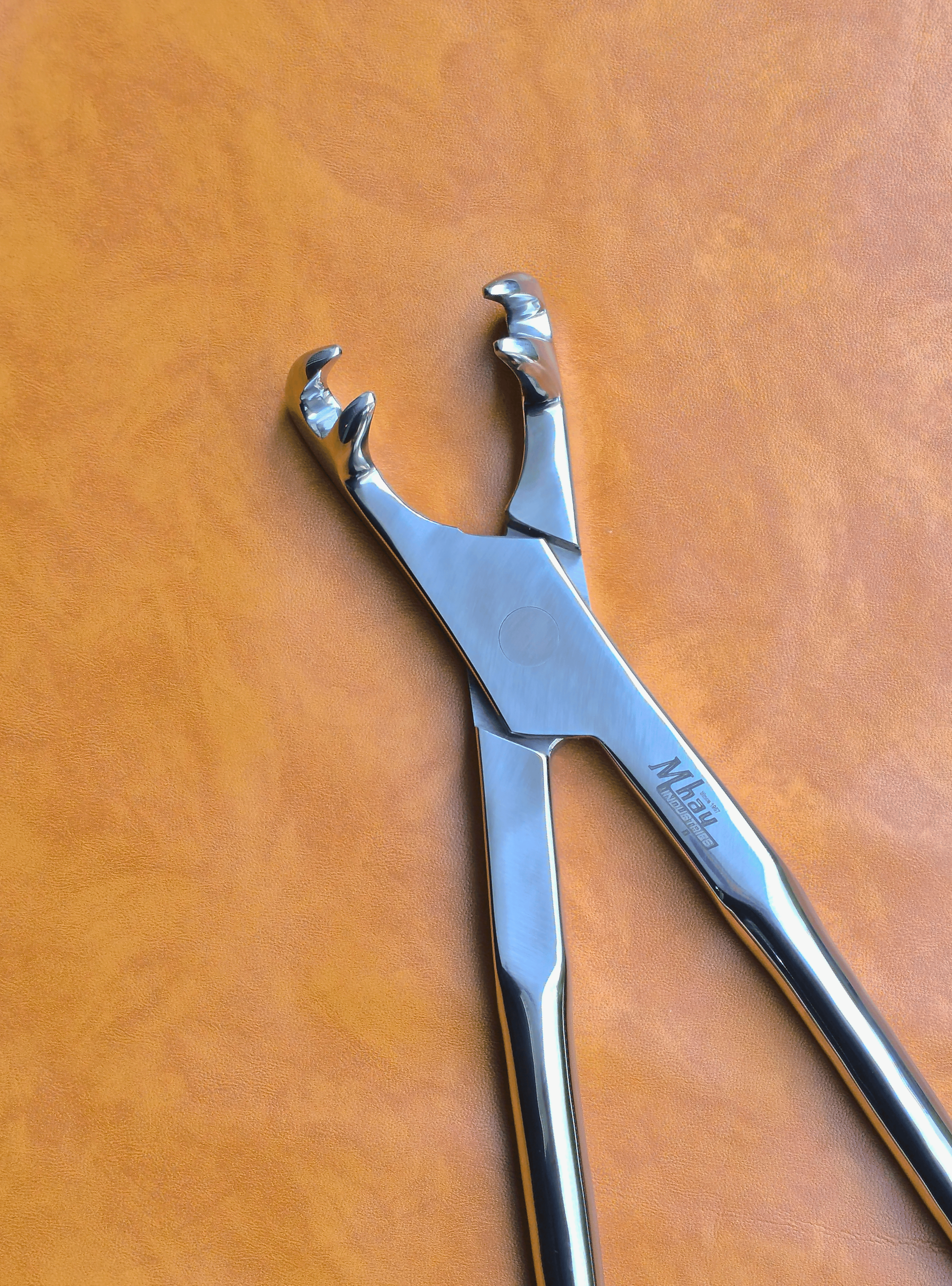 Four Prong 21"  Equine Dental Forceps