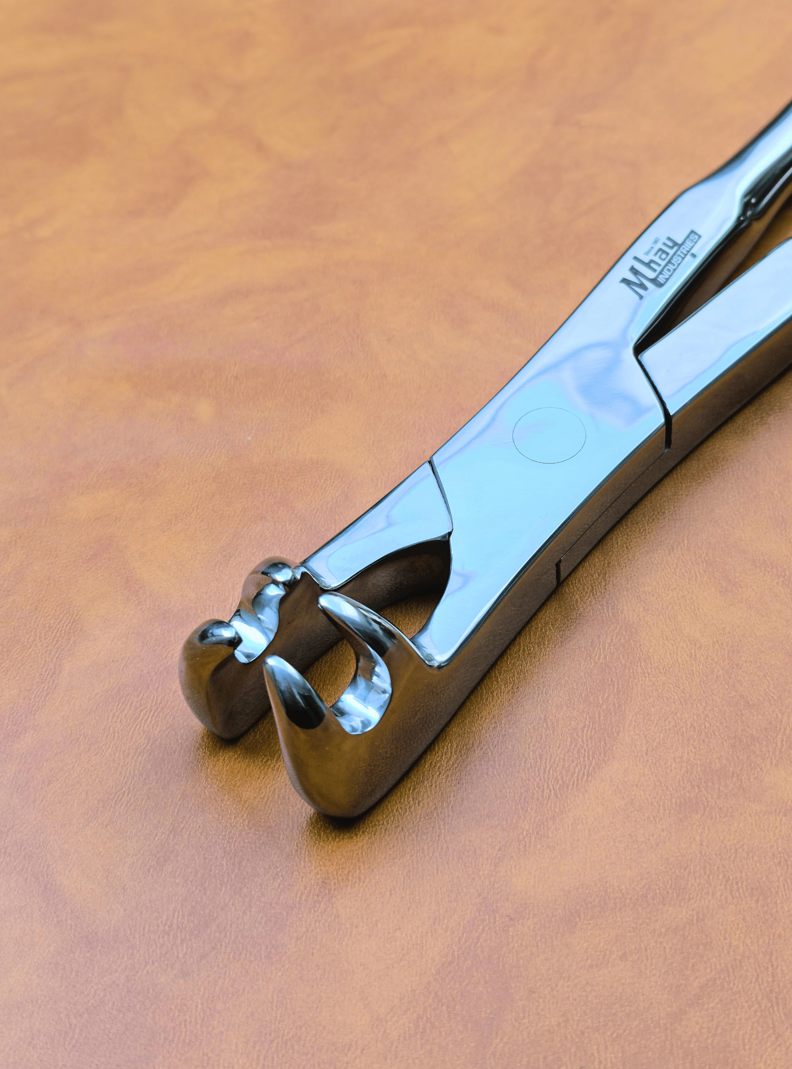 Stomatology Forceps 21" Set of 4