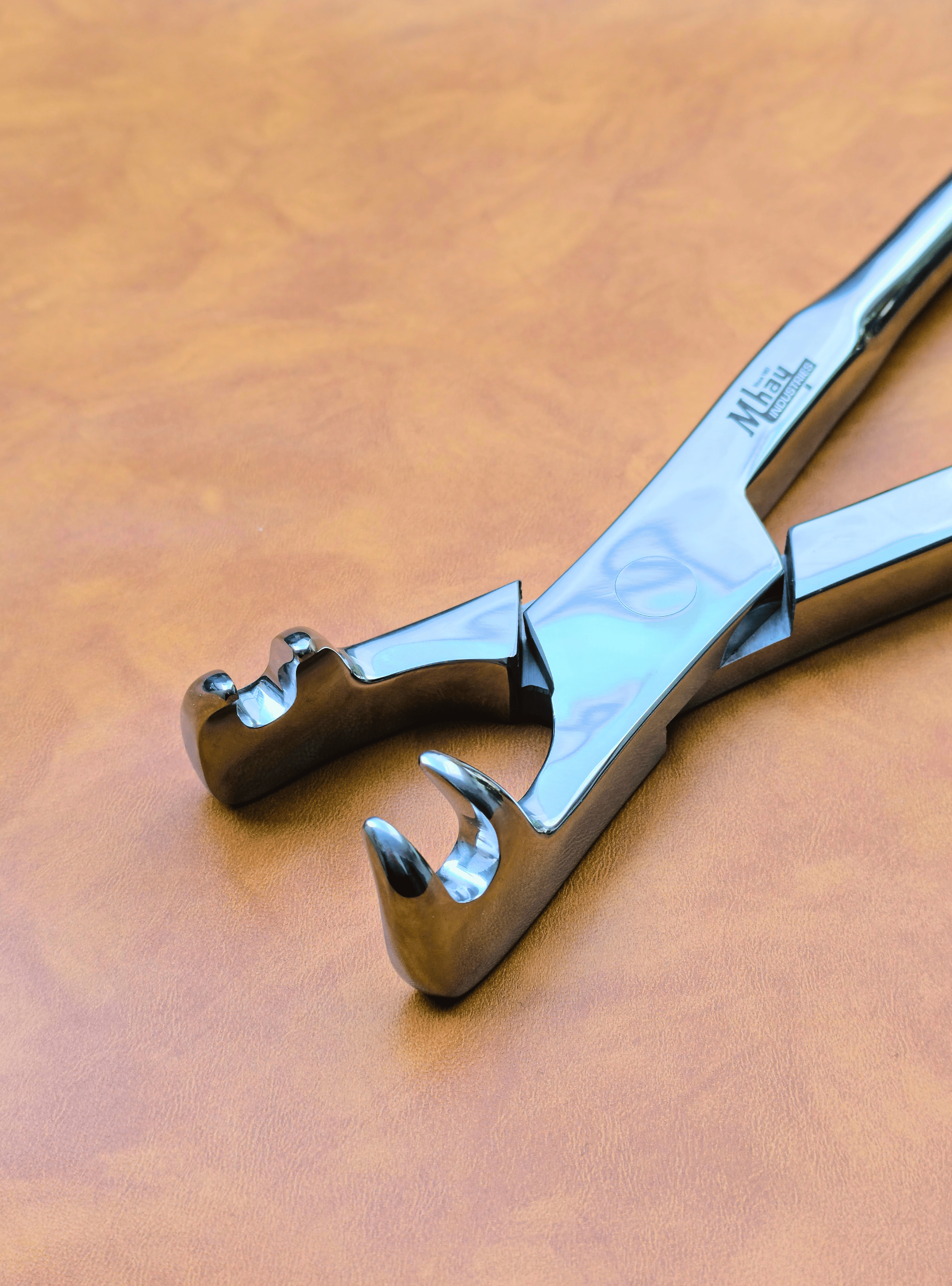 Four Prong 21"  Equine Dental Forceps