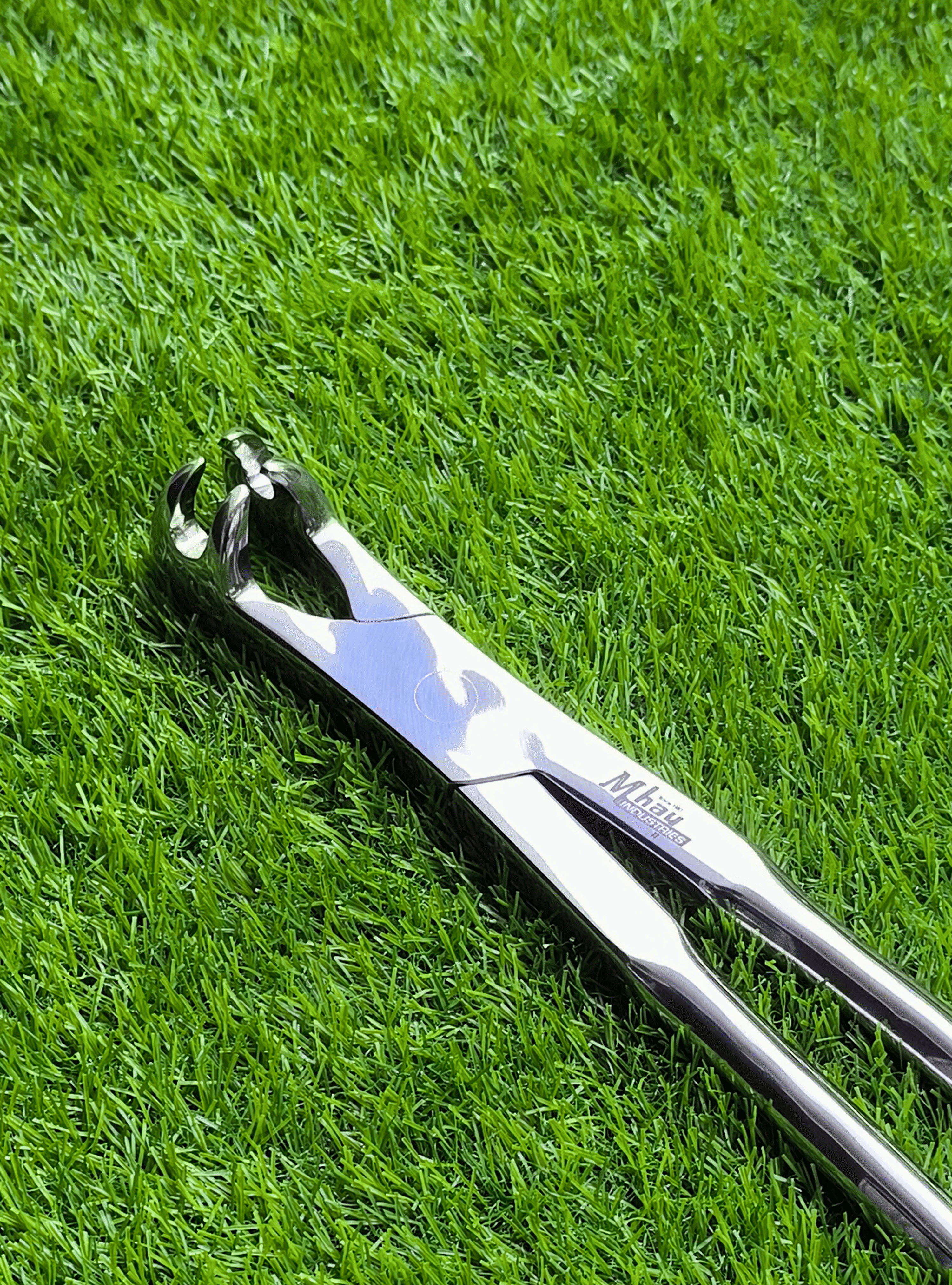 Four Prong 21"  Equine Dental Forceps