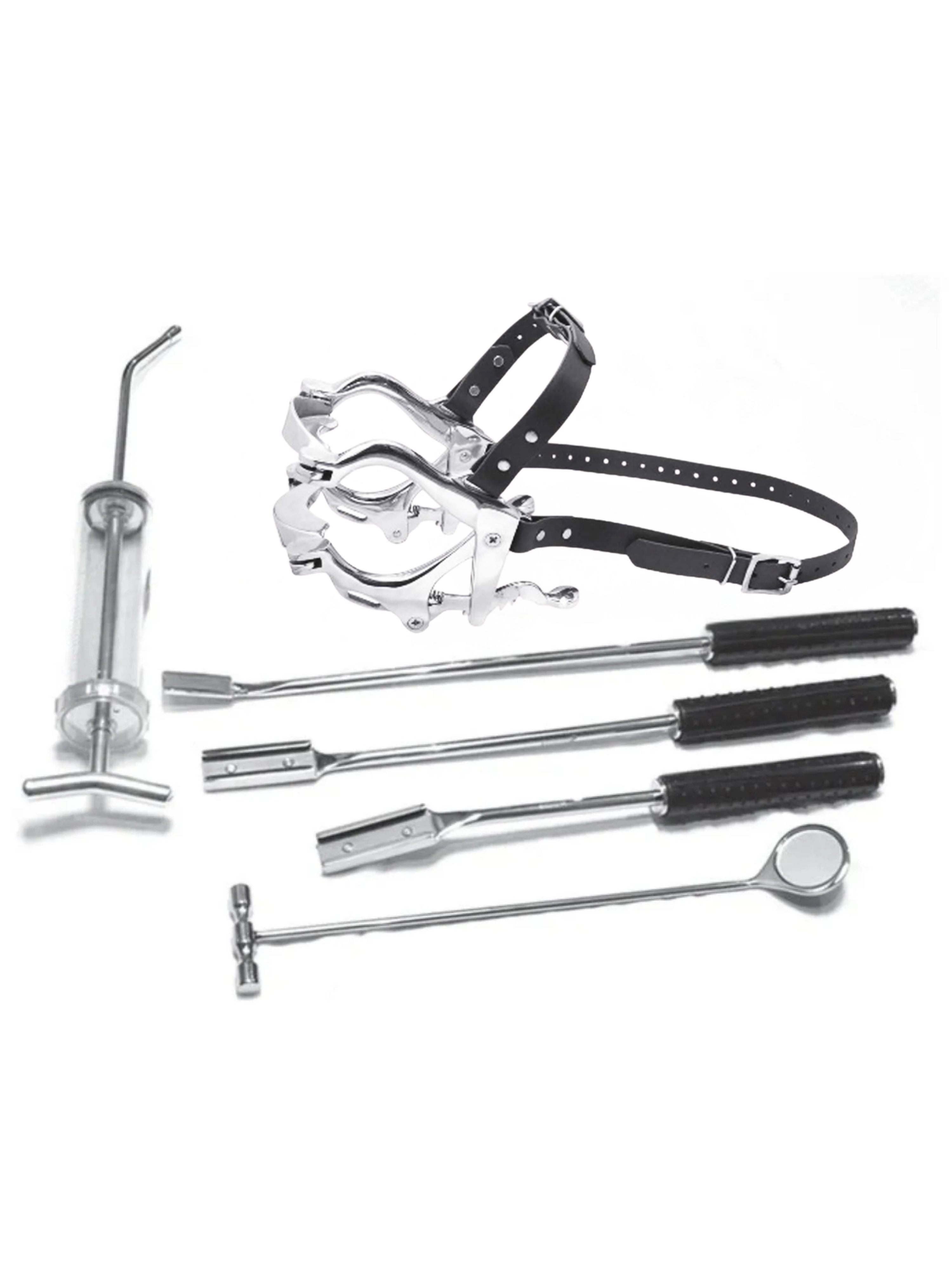 Pony & Miniature Equine Dental Kit