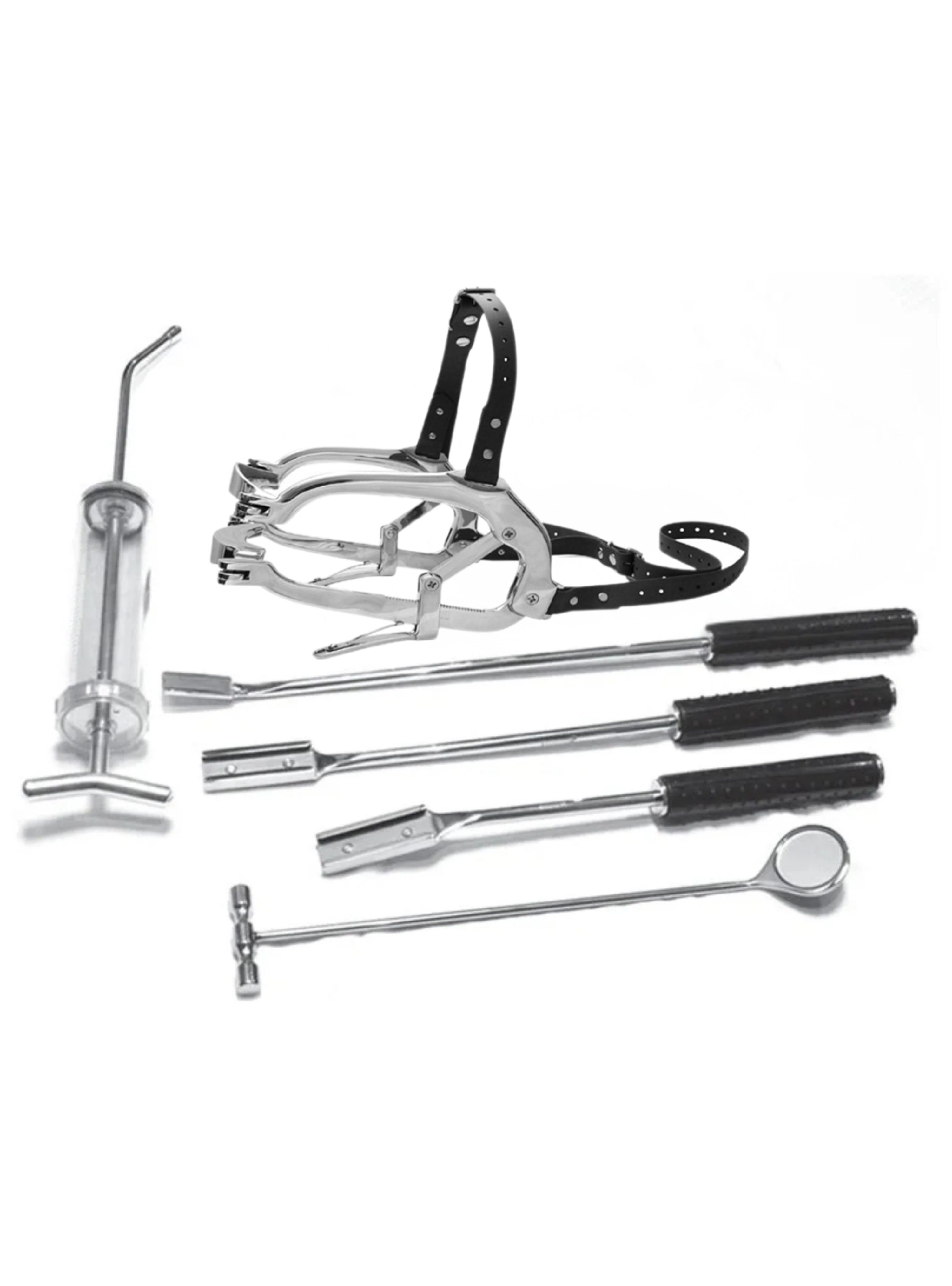 Premium Equine Dental Kit