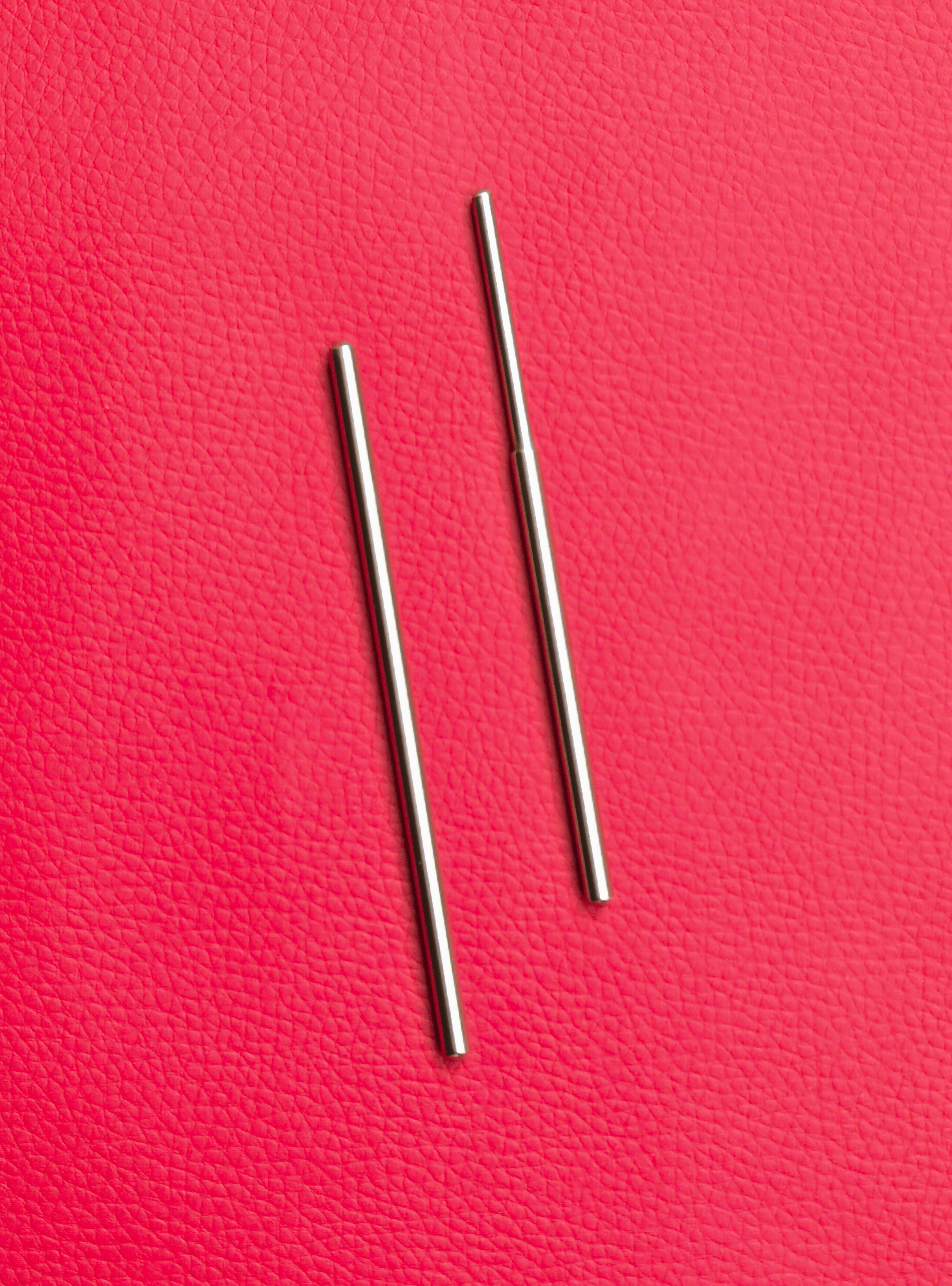 Equine Dental Teeth Elevator Burgess Set