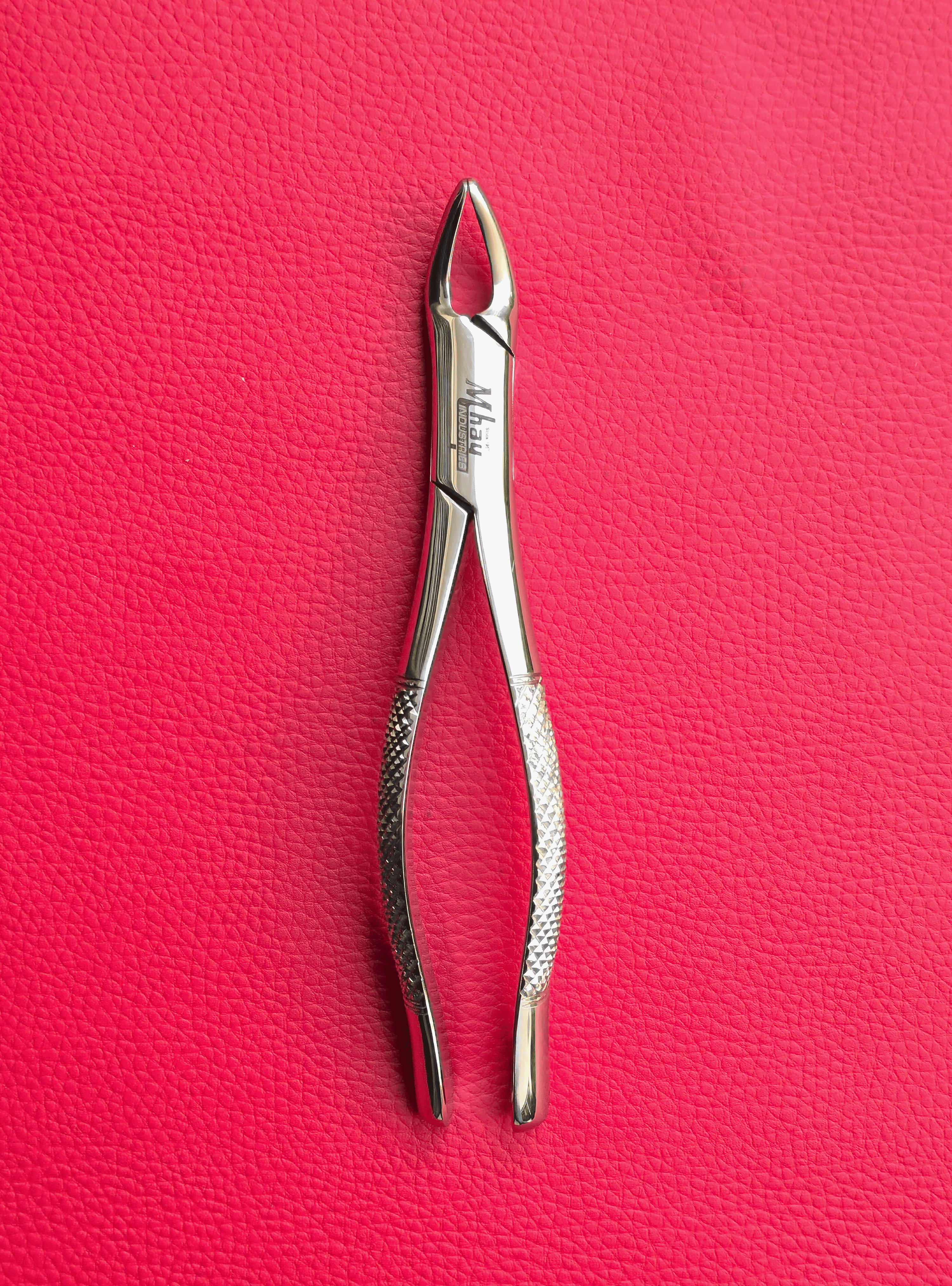 Curved Incisor Tooth Forceps 7″