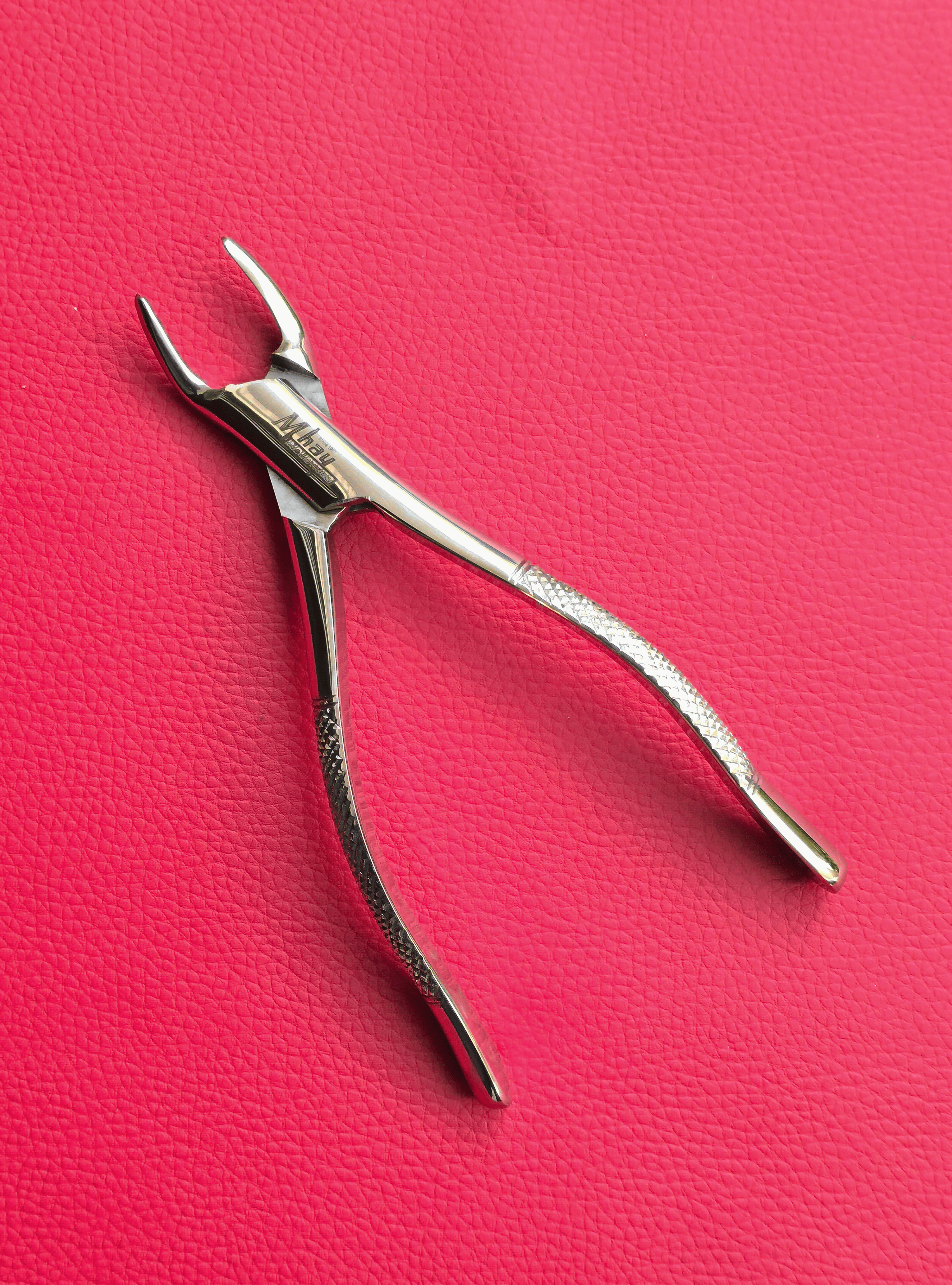 Curved Incisor Tooth Forceps 7″