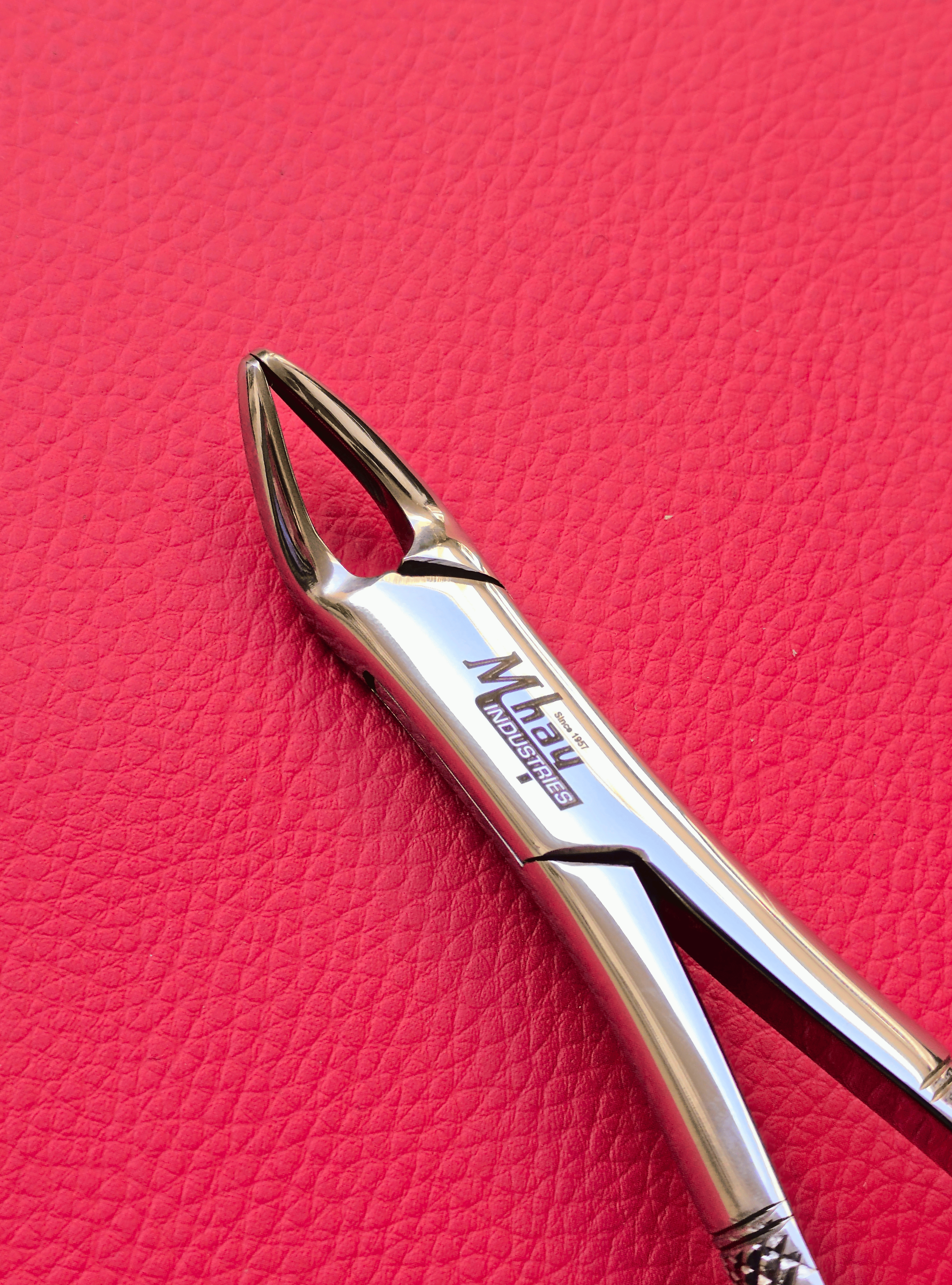 Curved Incisor Tooth Forceps 7″