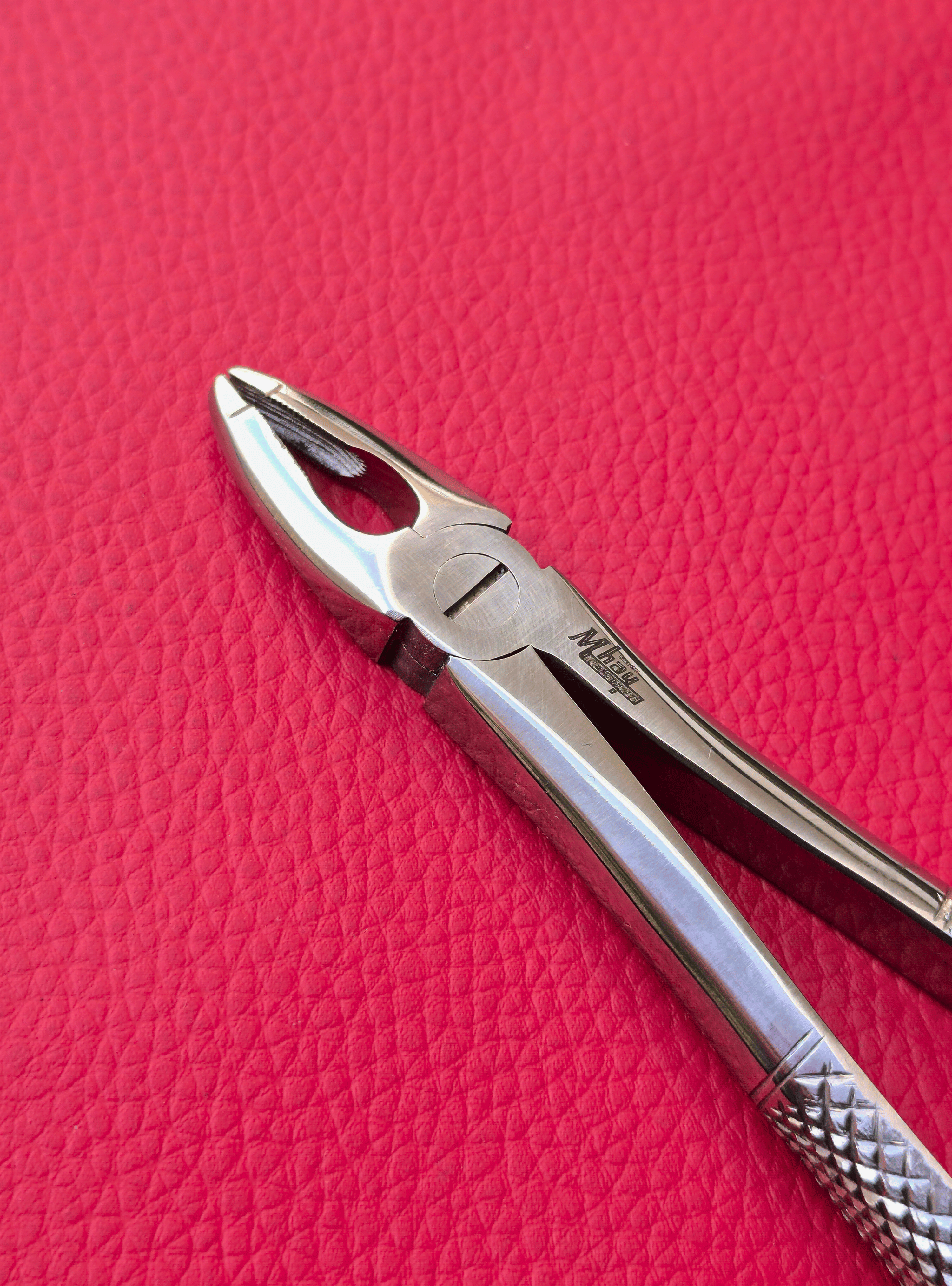 Curved Small Forceps 7″