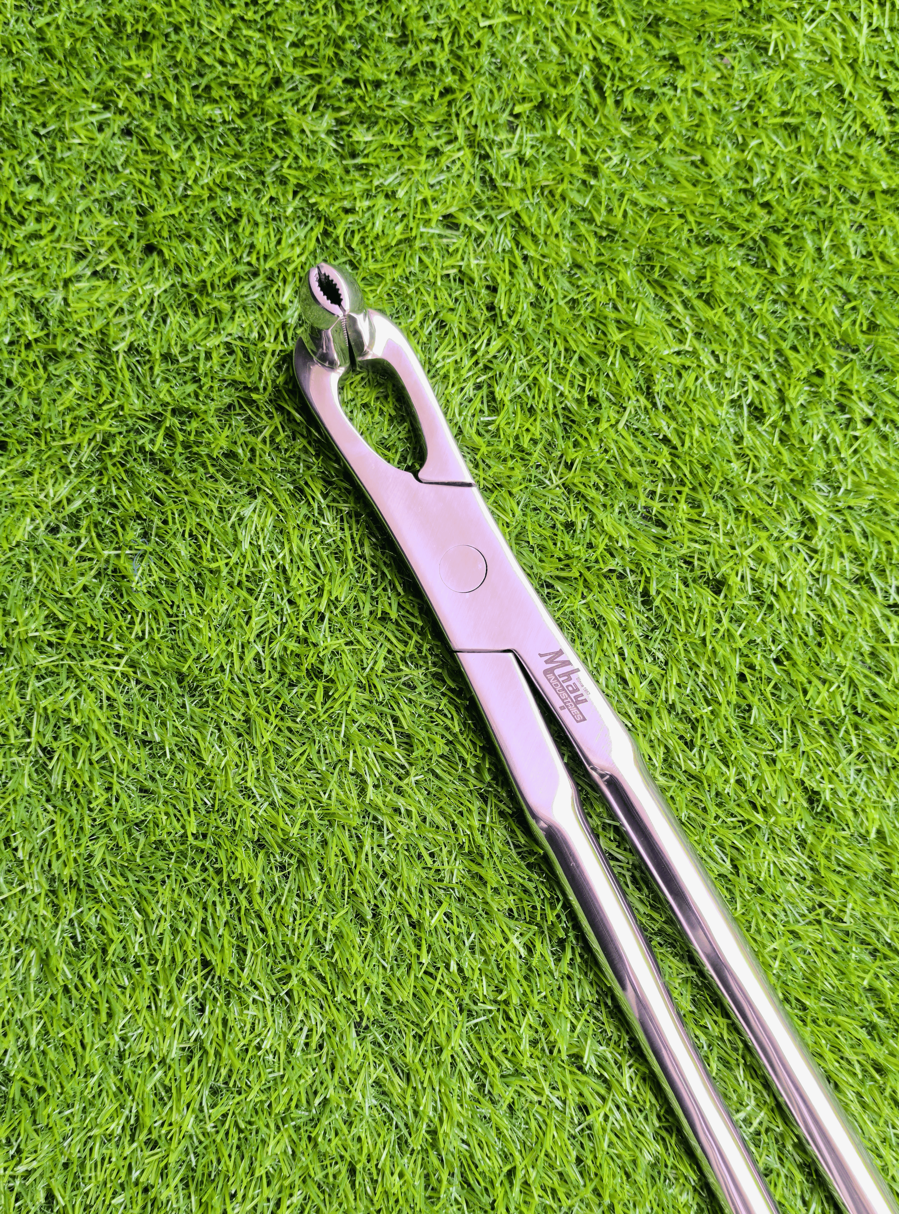 Long Nose 21" Equine Dental Forceps