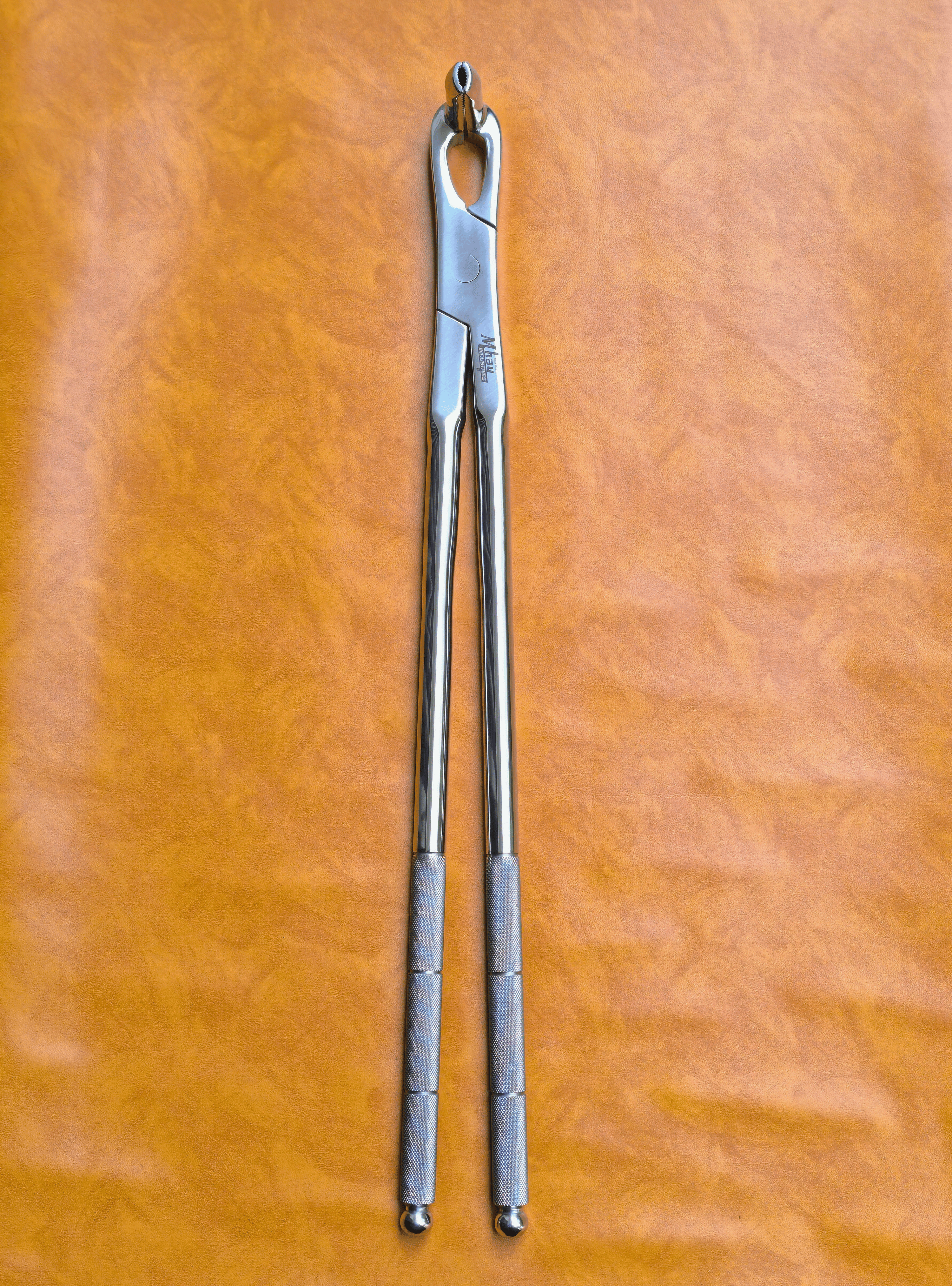 Long Nose 21" Equine Dental Forceps