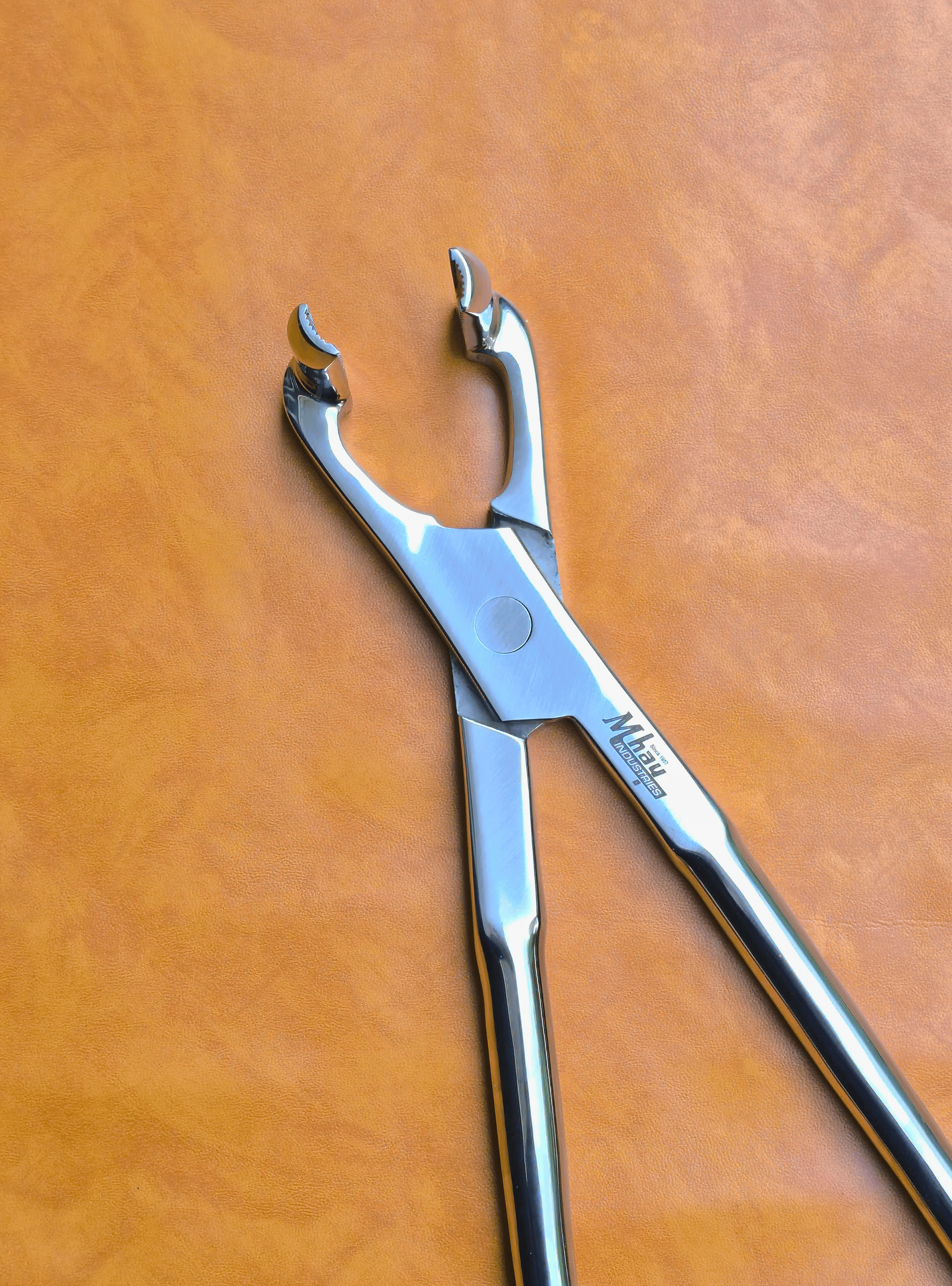 Long Nose 21" Equine Dental Forceps
