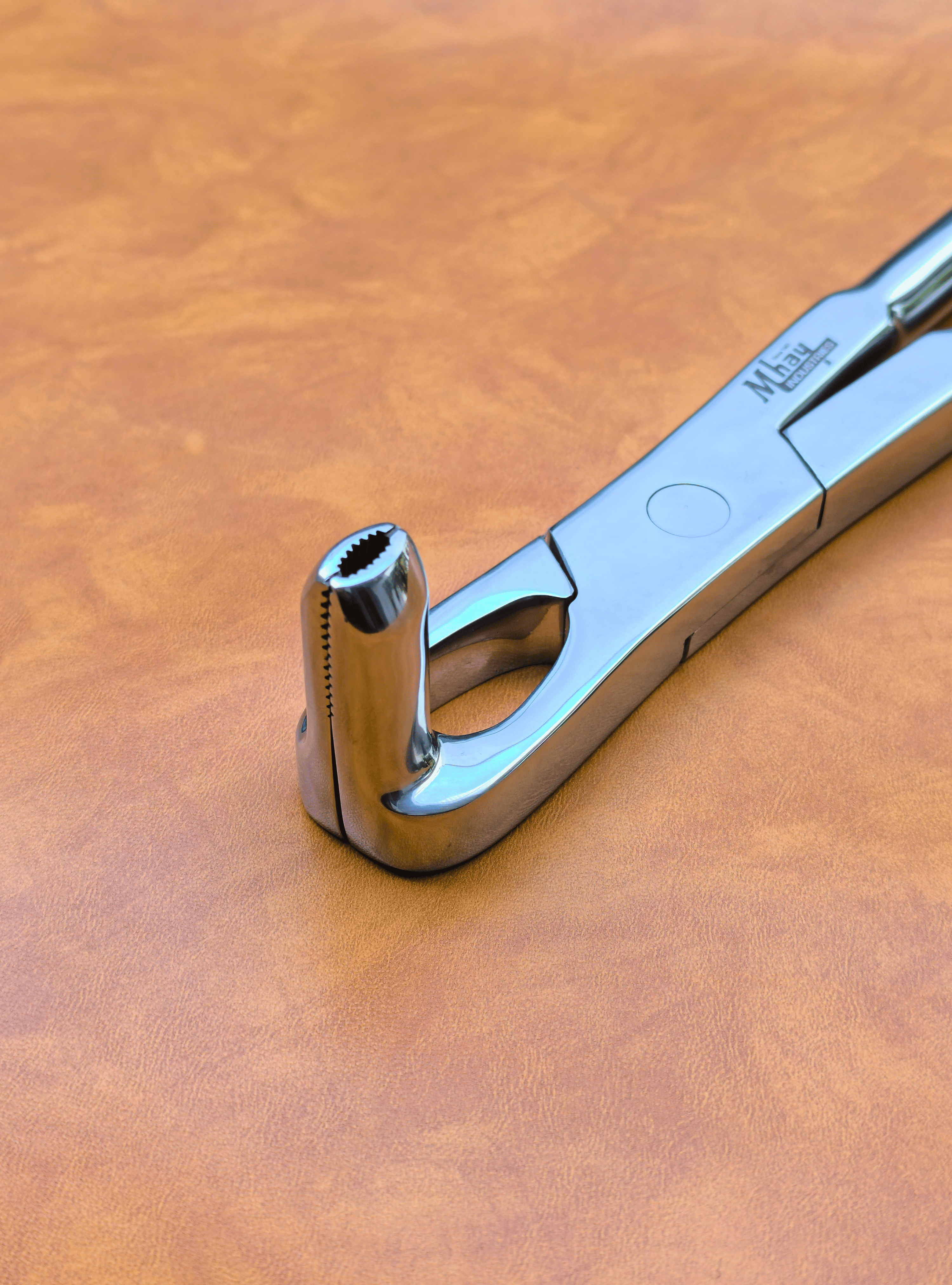 Long Nose 21" Equine Dental Forceps