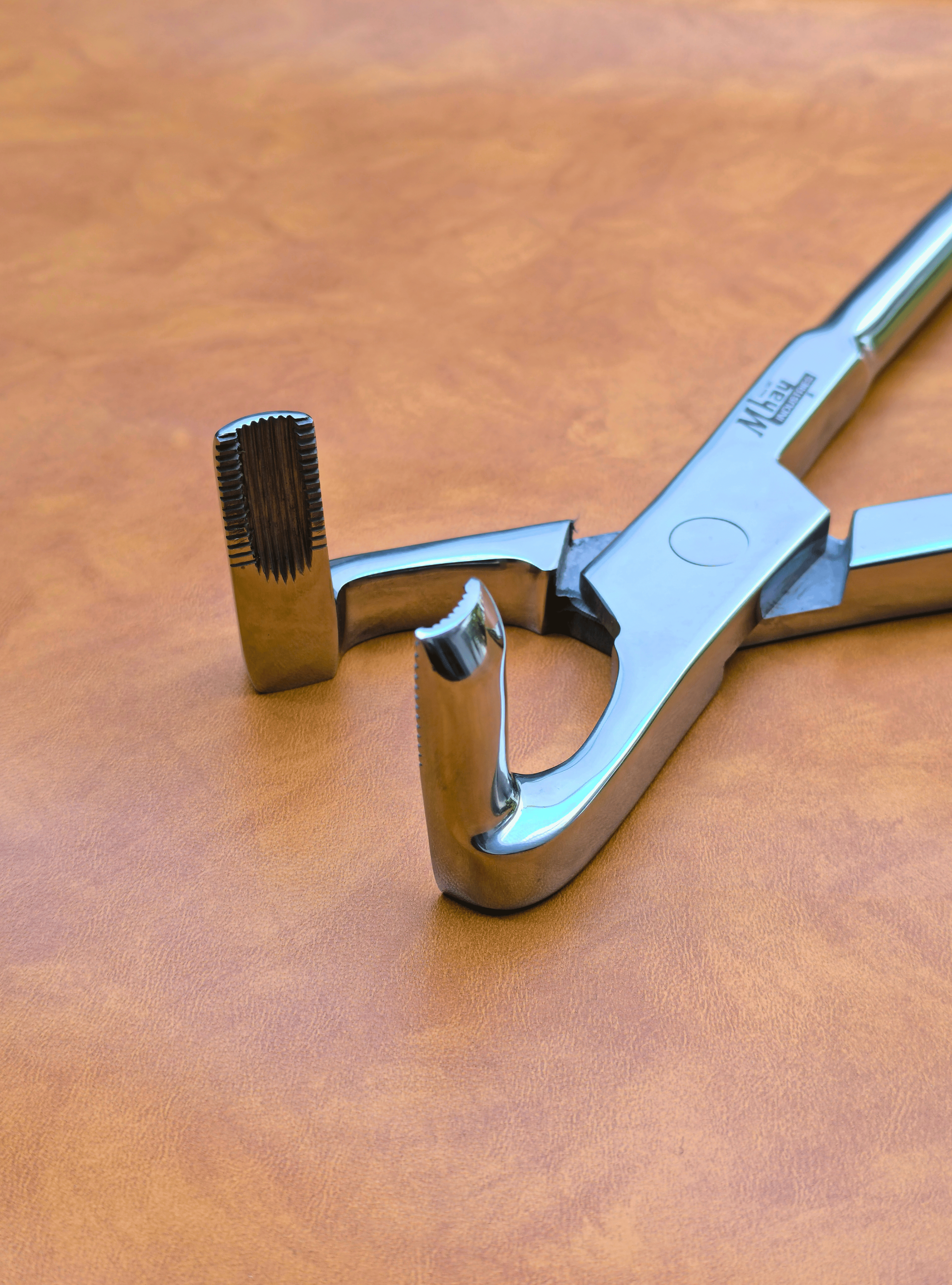 Long Nose 21" Equine Dental Forceps