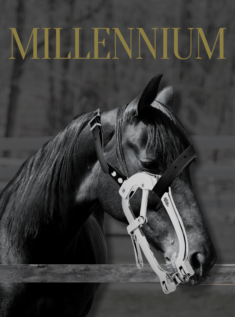 Millennium Equine Dental Speculum with PVC Coated Straps: Premium Quality