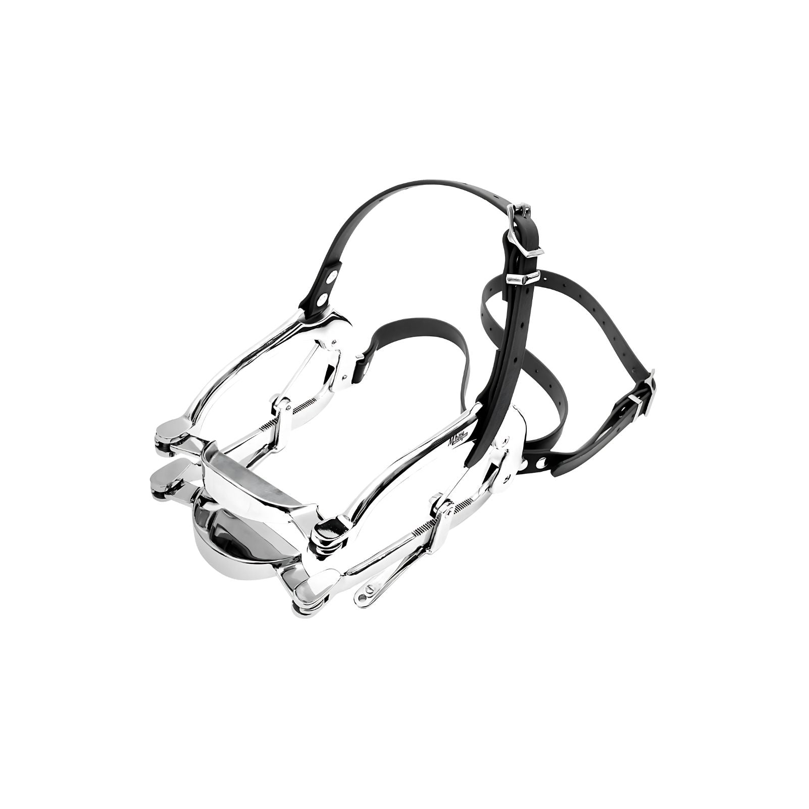 Describes Millennium Speculum online