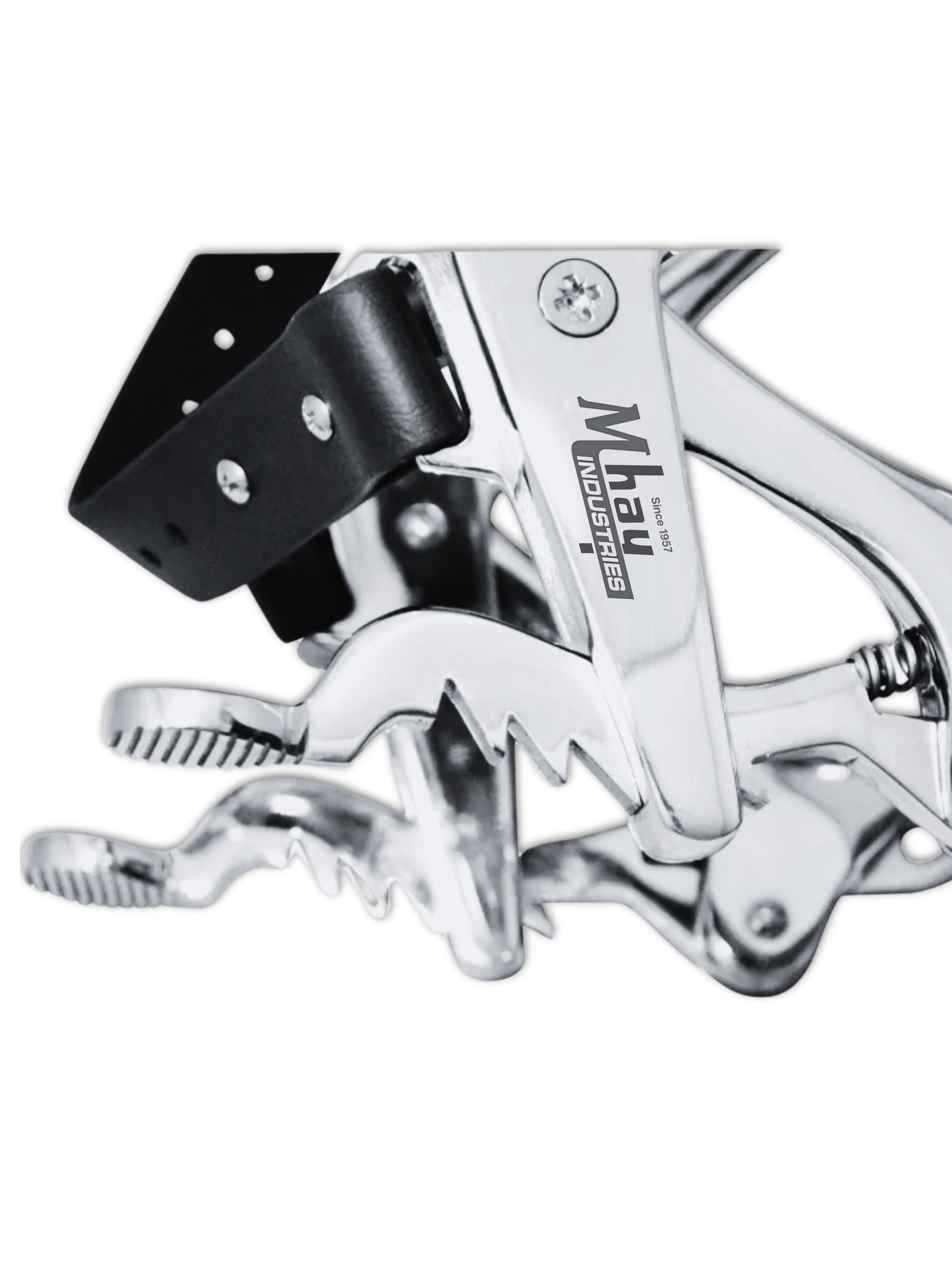 image describes the best Pony Equine Dental Speculum for sale