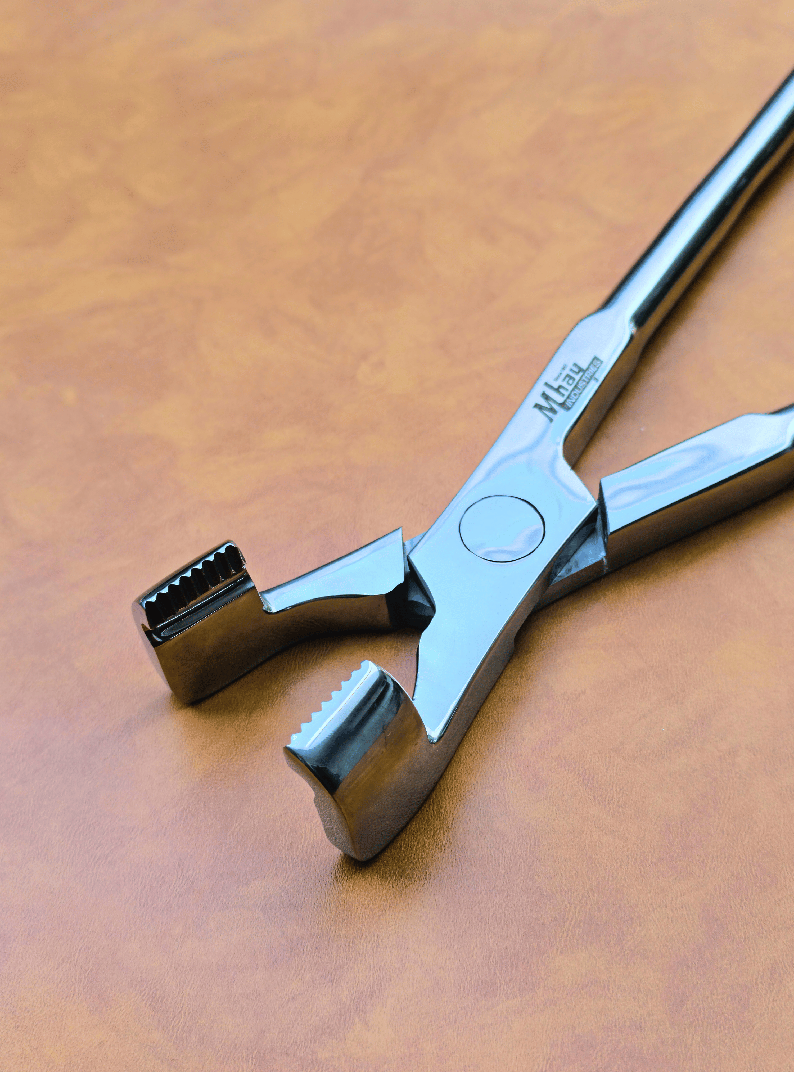 Molar Equine Dental Forceps 21"