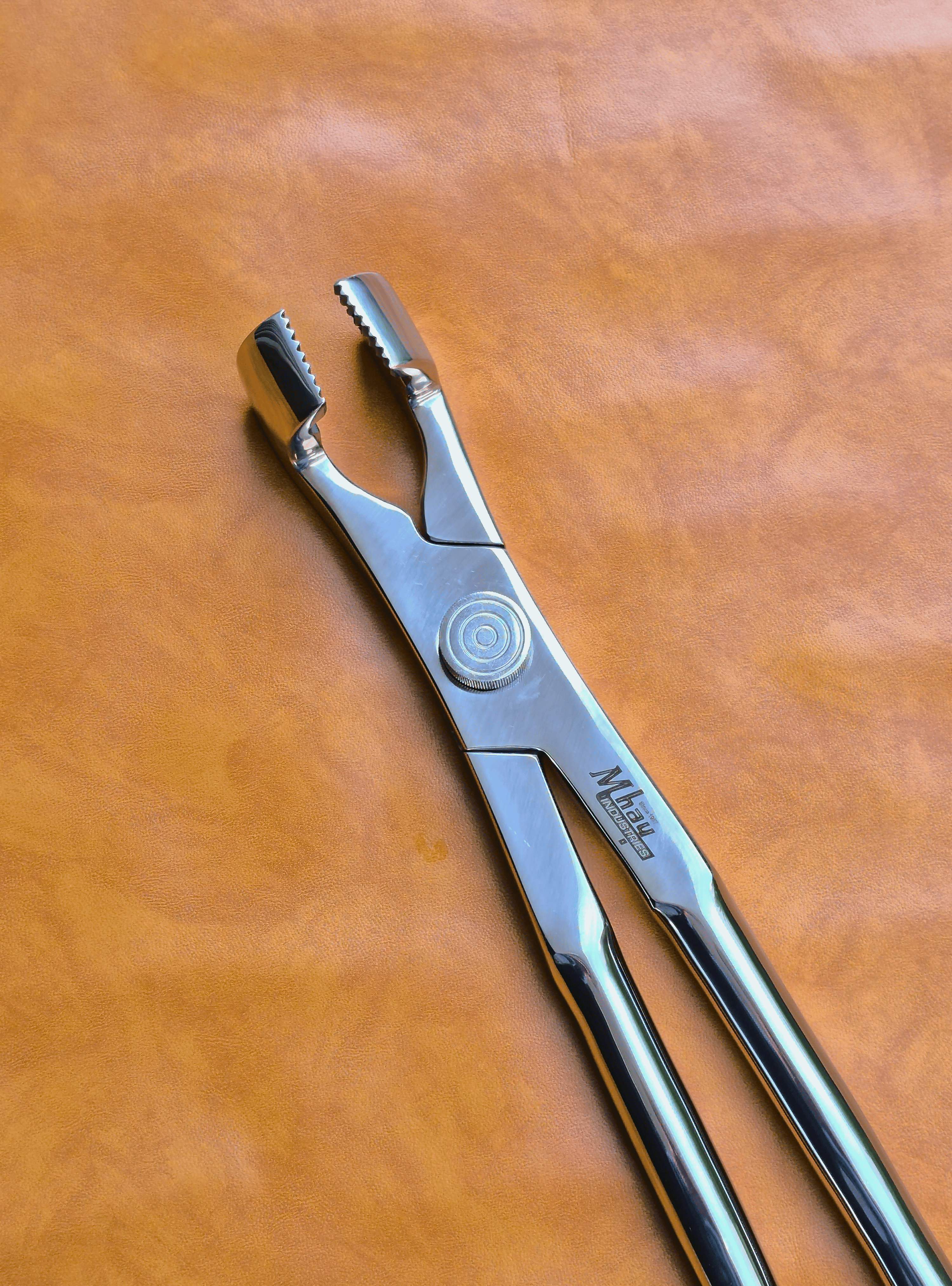 Premium Equine Dental Molarenzange mit Drehpunkt 21" 