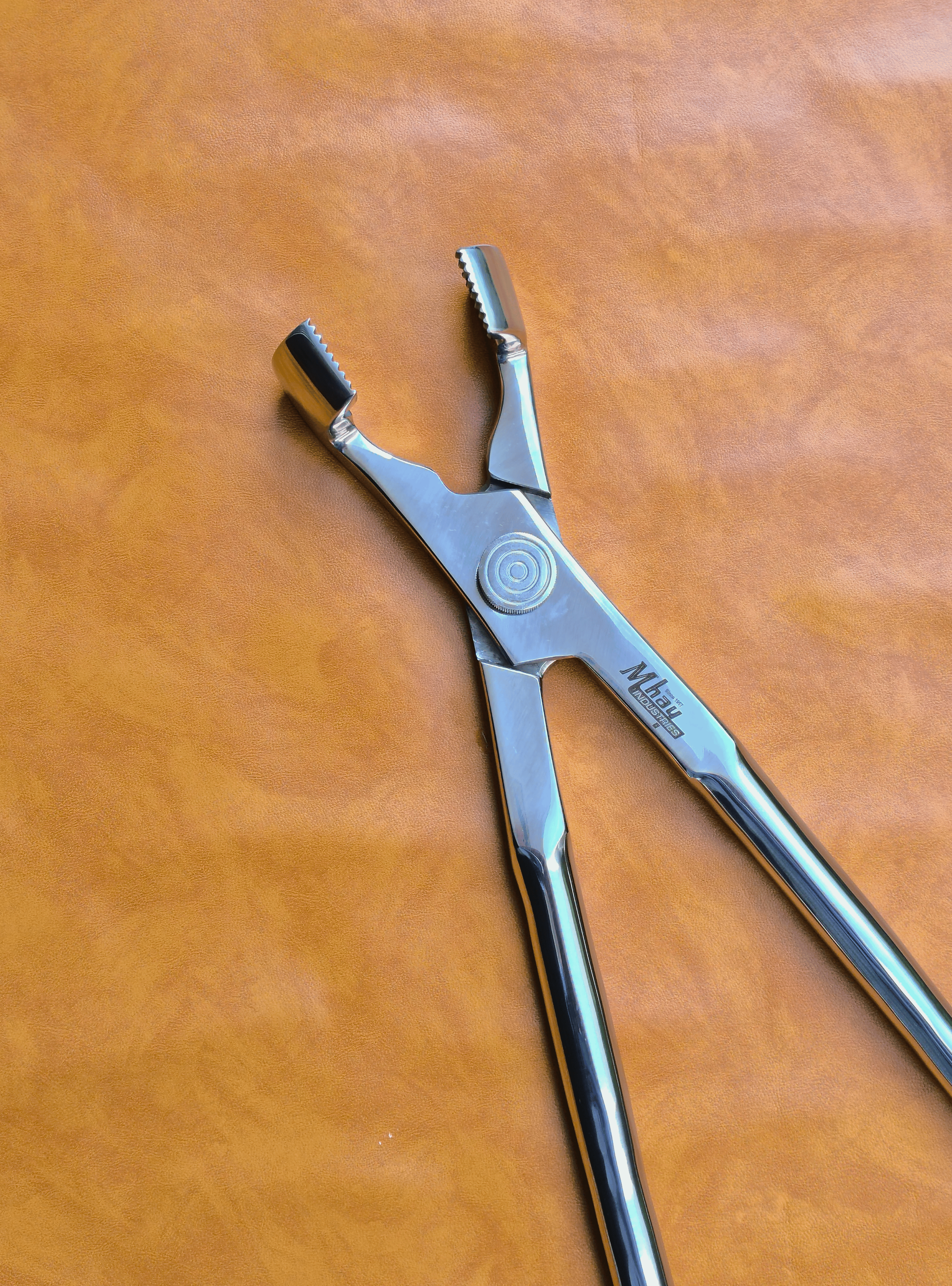 Premium Equine Dental Molarenzange mit Drehpunkt 21" 