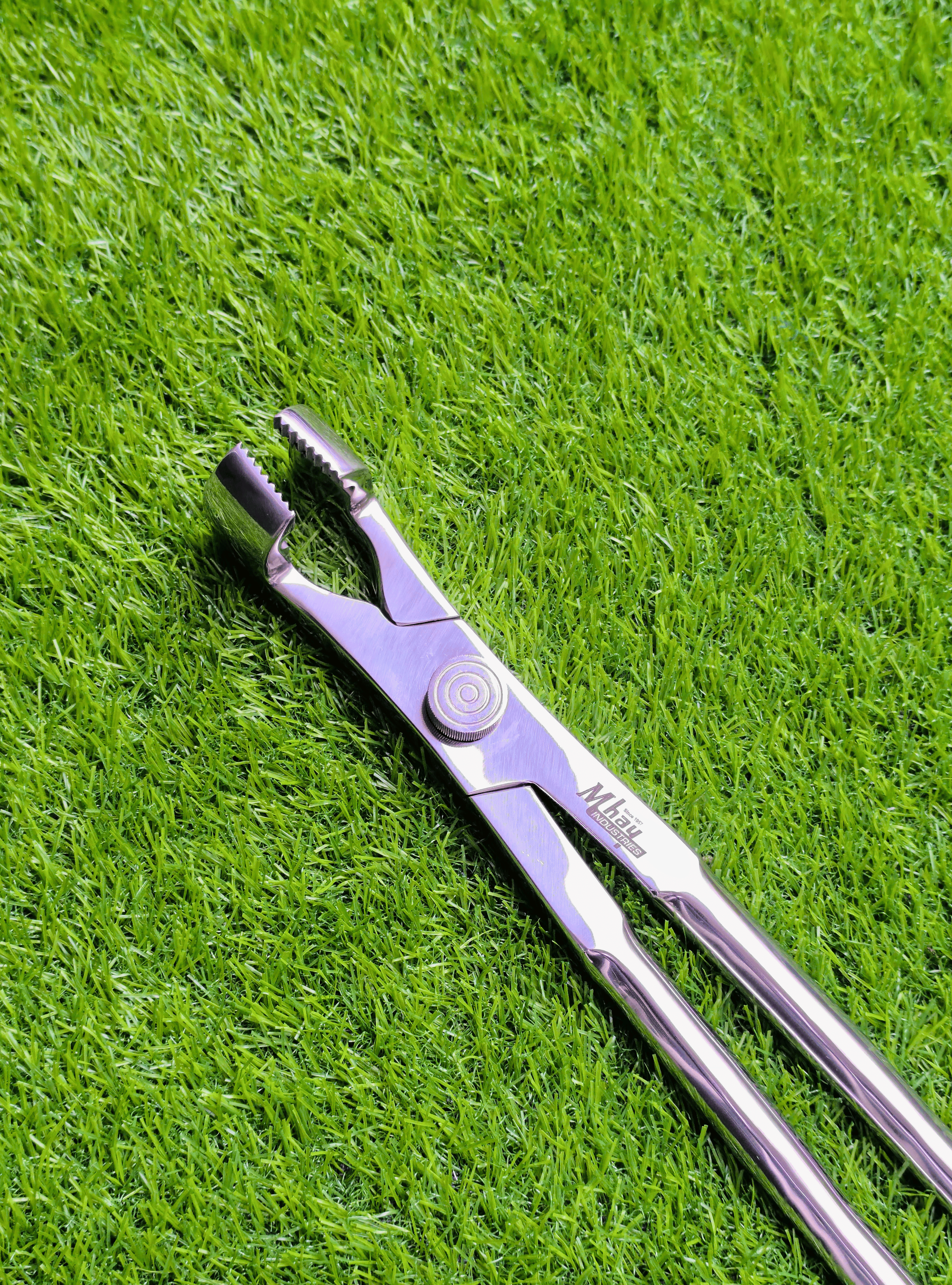 Molar Equine Dental Forceps with Fulcrum 21"