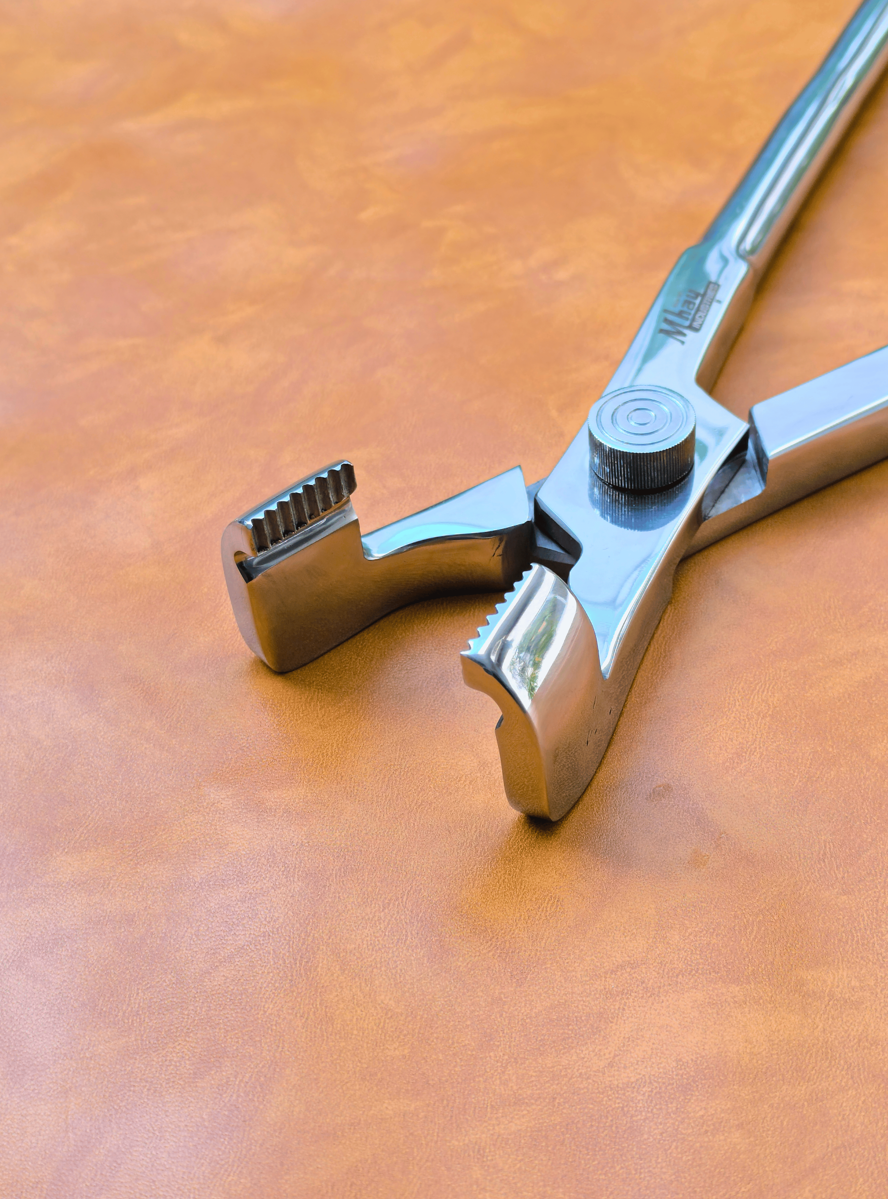 Premium Equine Dental Molarenzange mit Drehpunkt 21" 