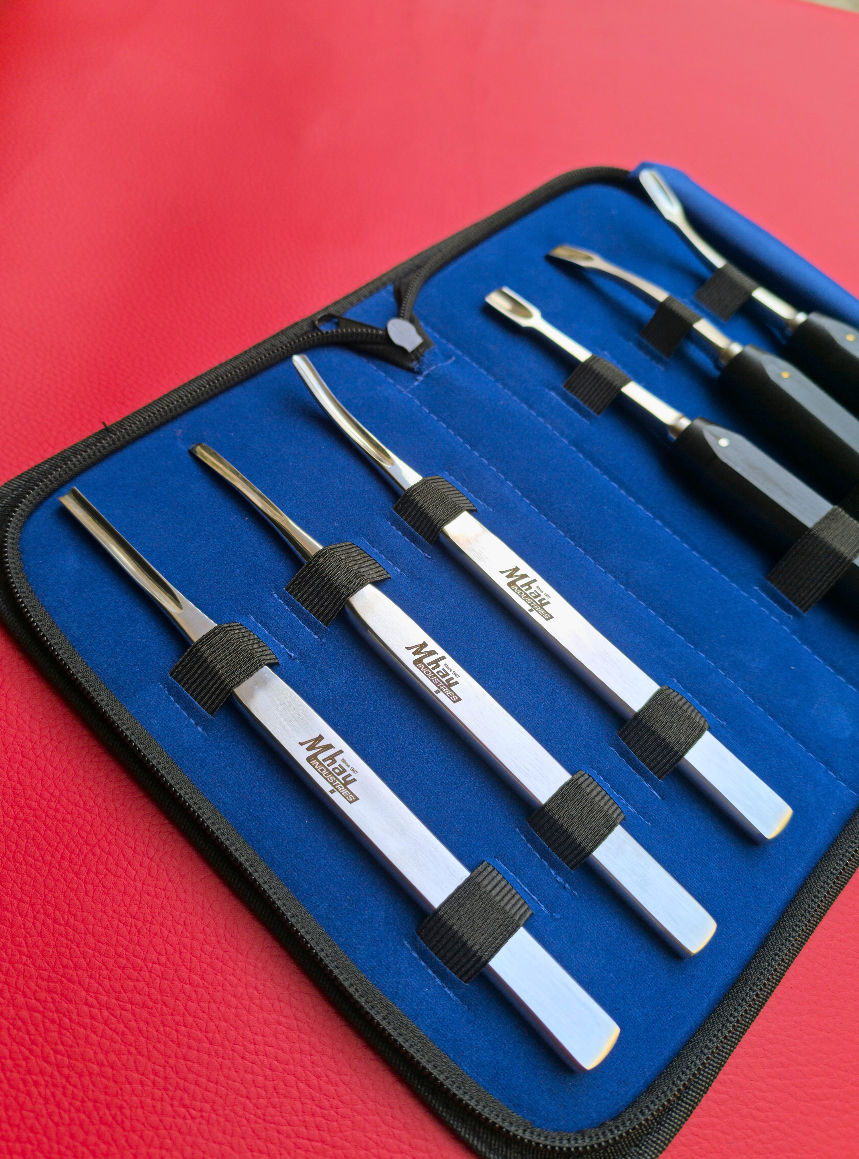 Extraction Dental Elevator Set