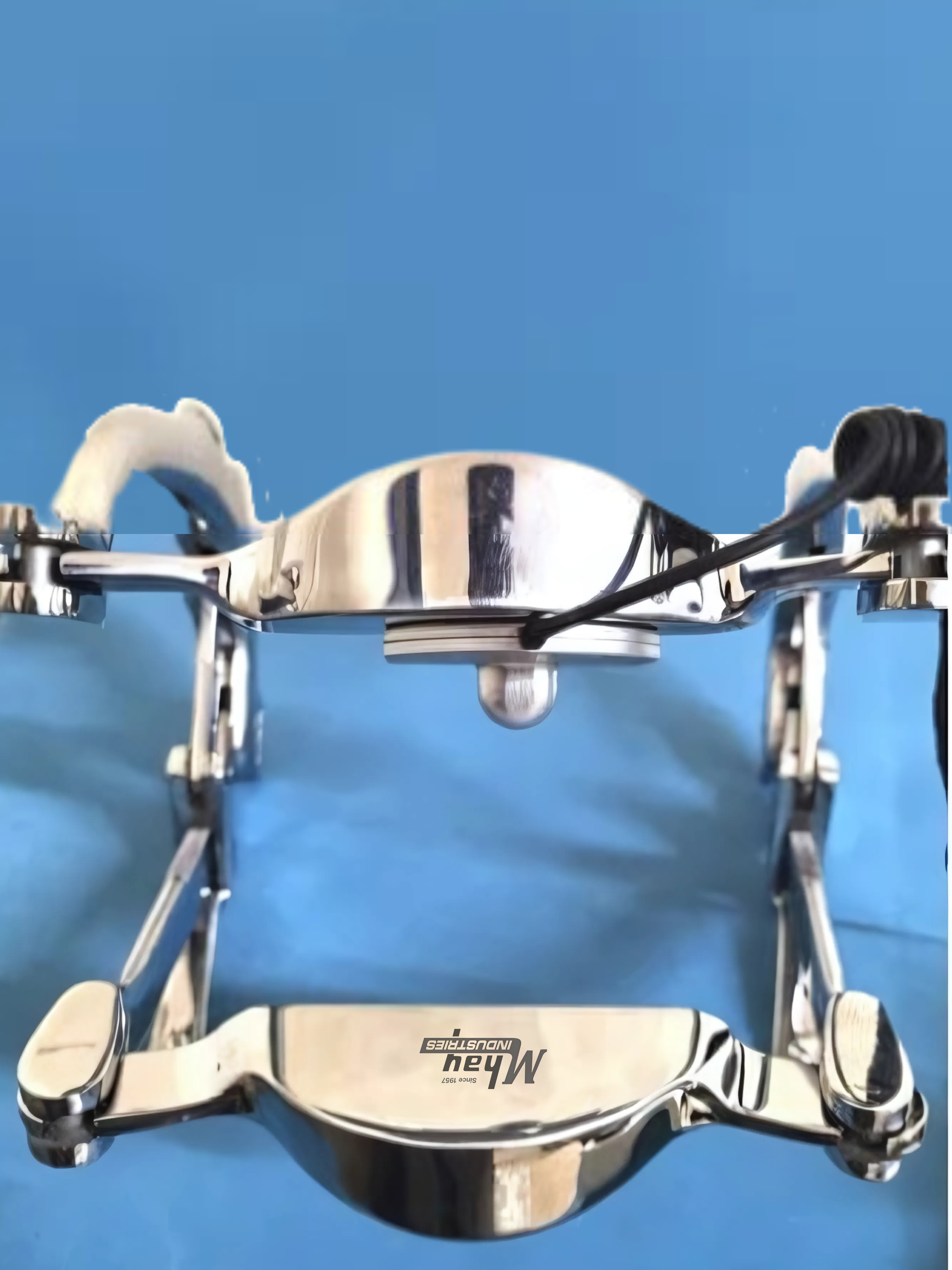 Magnetic equine Speculum Light Online