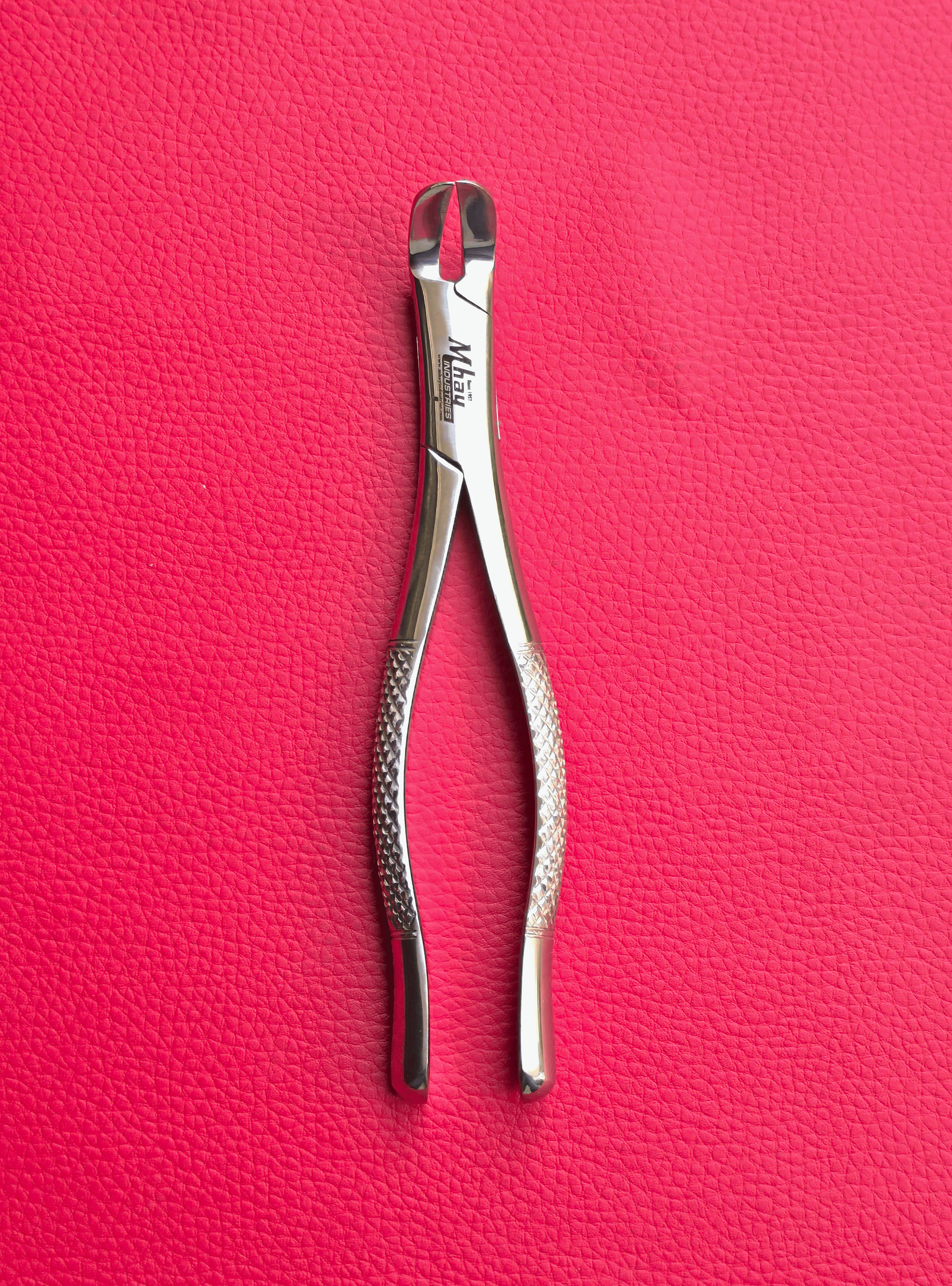 Wolf Incisor Tooth Spreader Forceps
