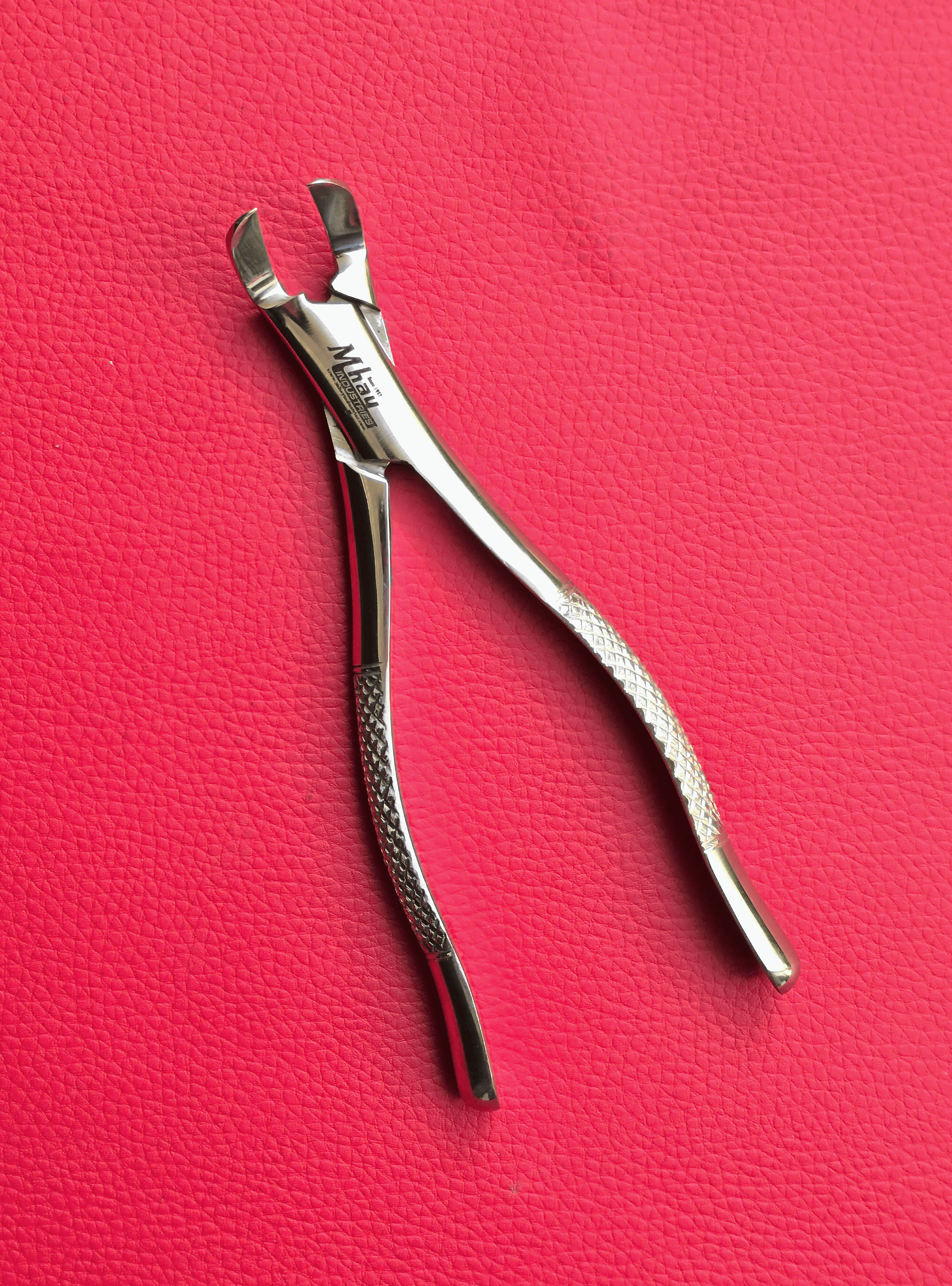 Wolf Incisor Tooth Spreader Forceps