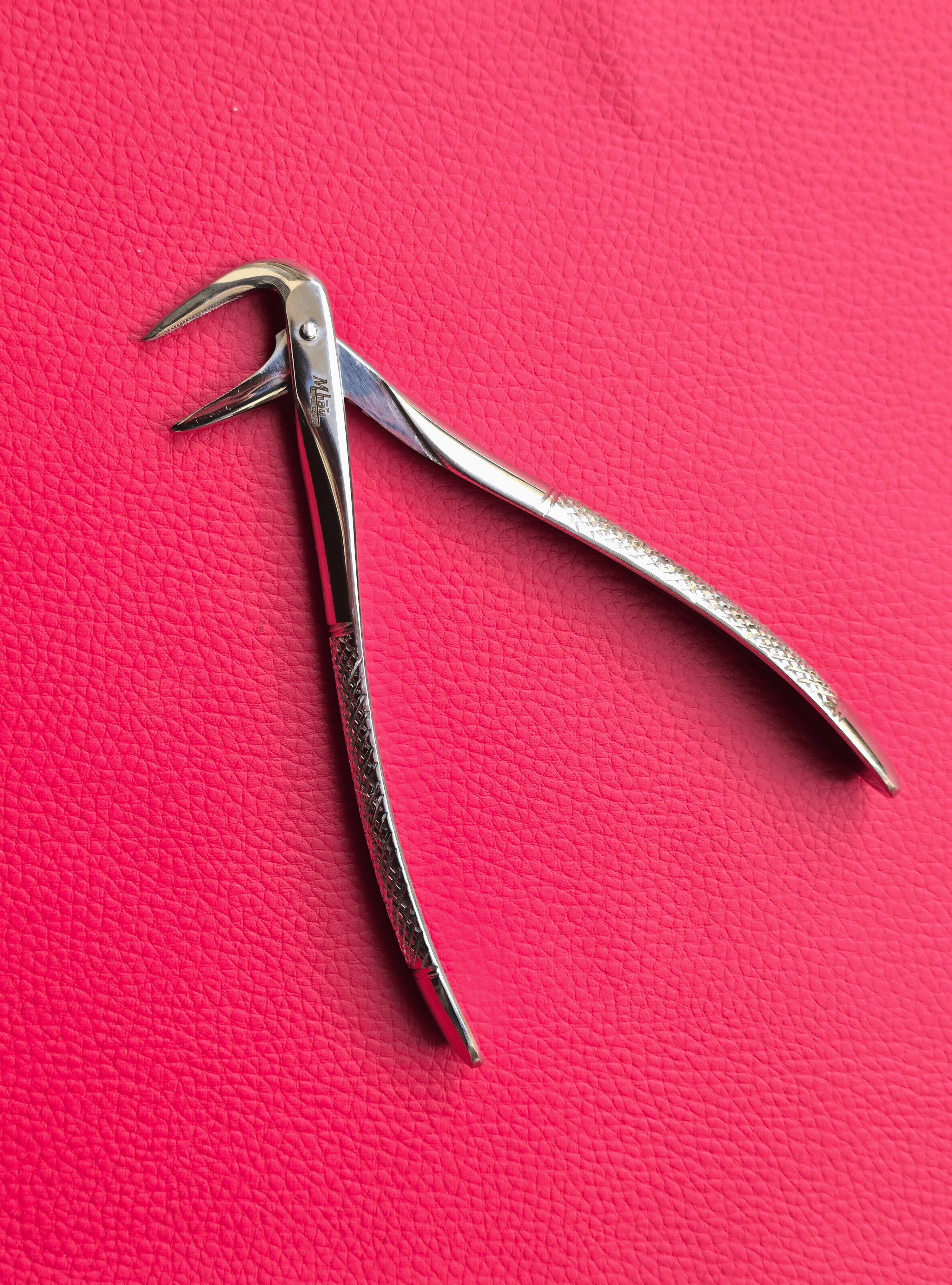 Turned Head Beak Extraction Forceps 6″
