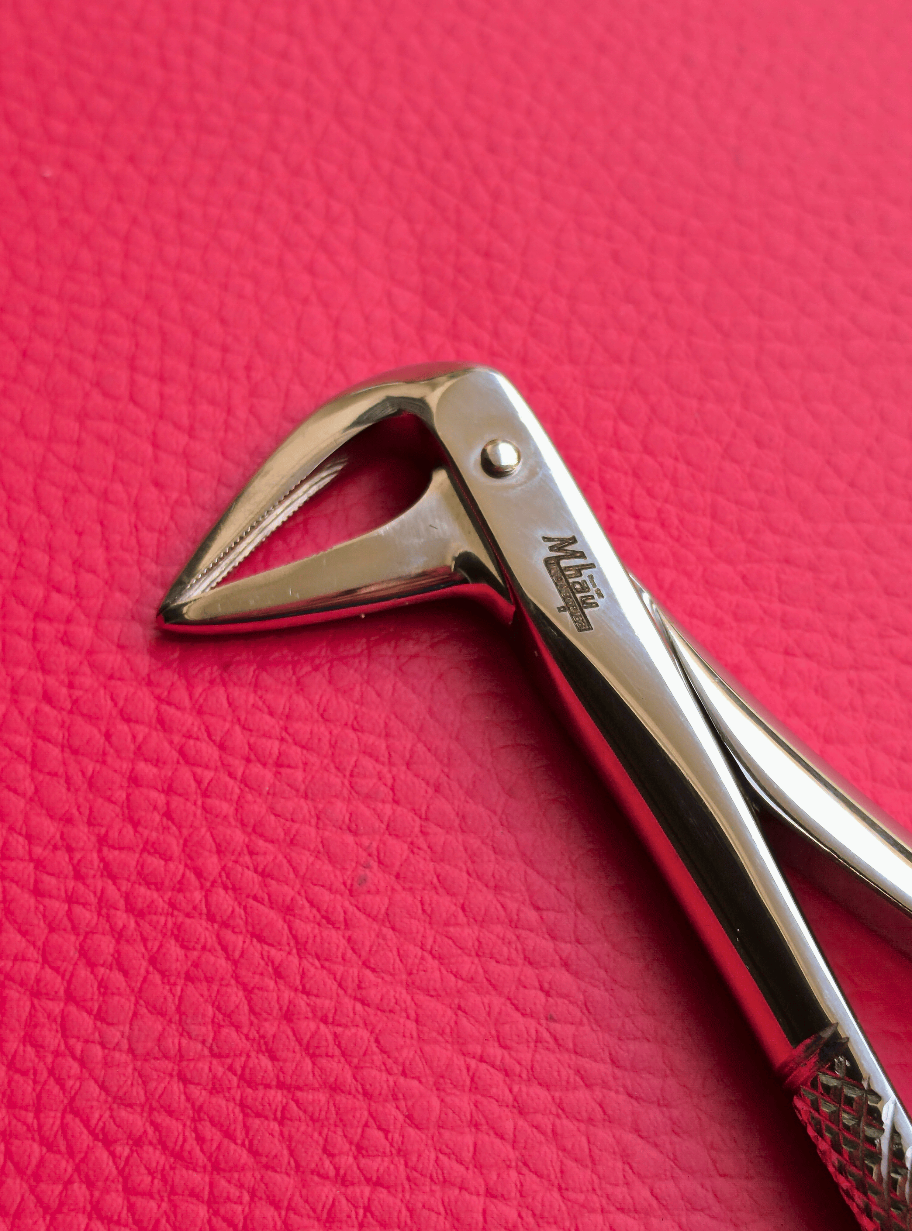 Turned Head Beak Extraction Forceps 6″