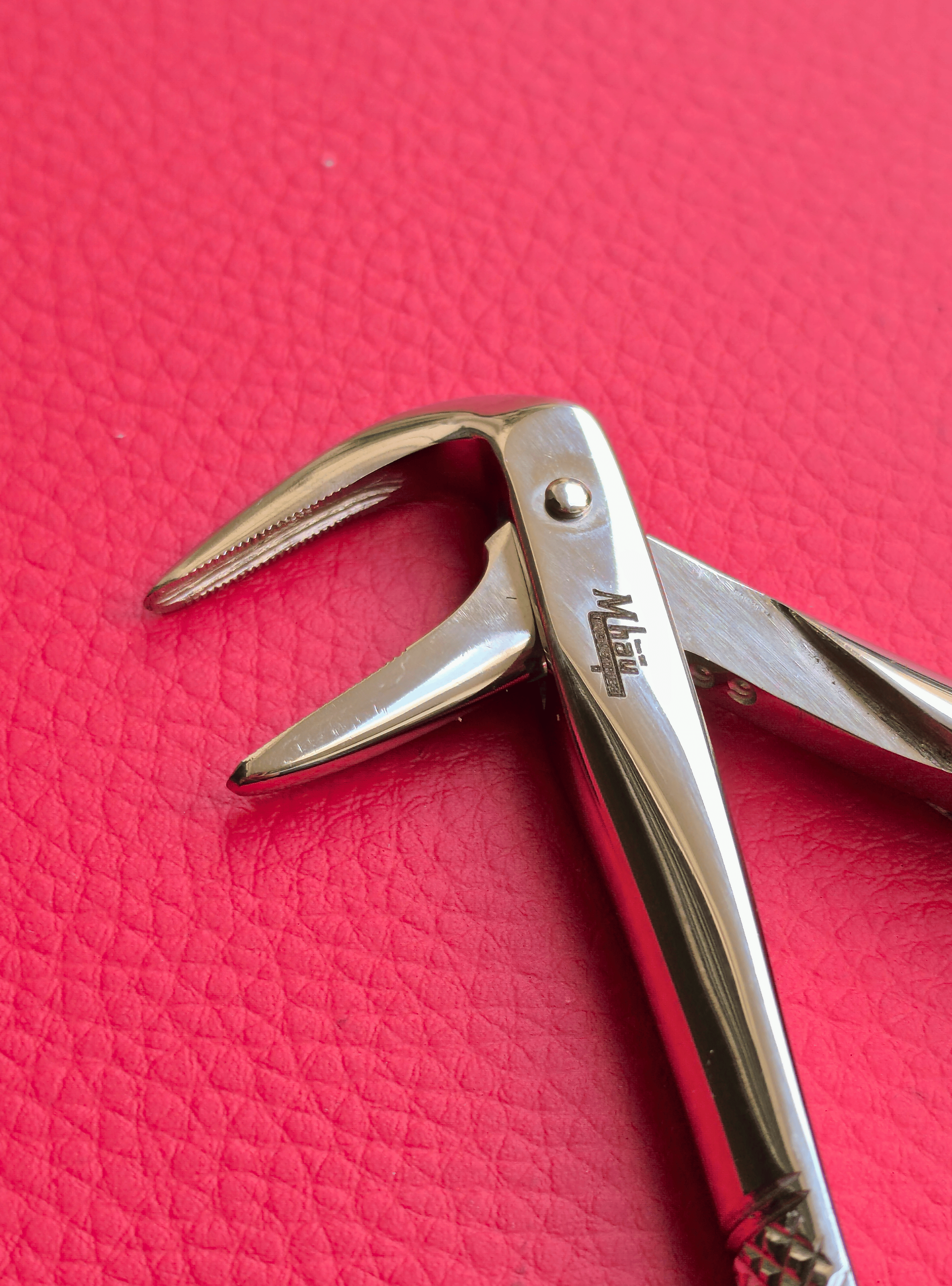 Turned Head Beak Extraction Forceps 6″