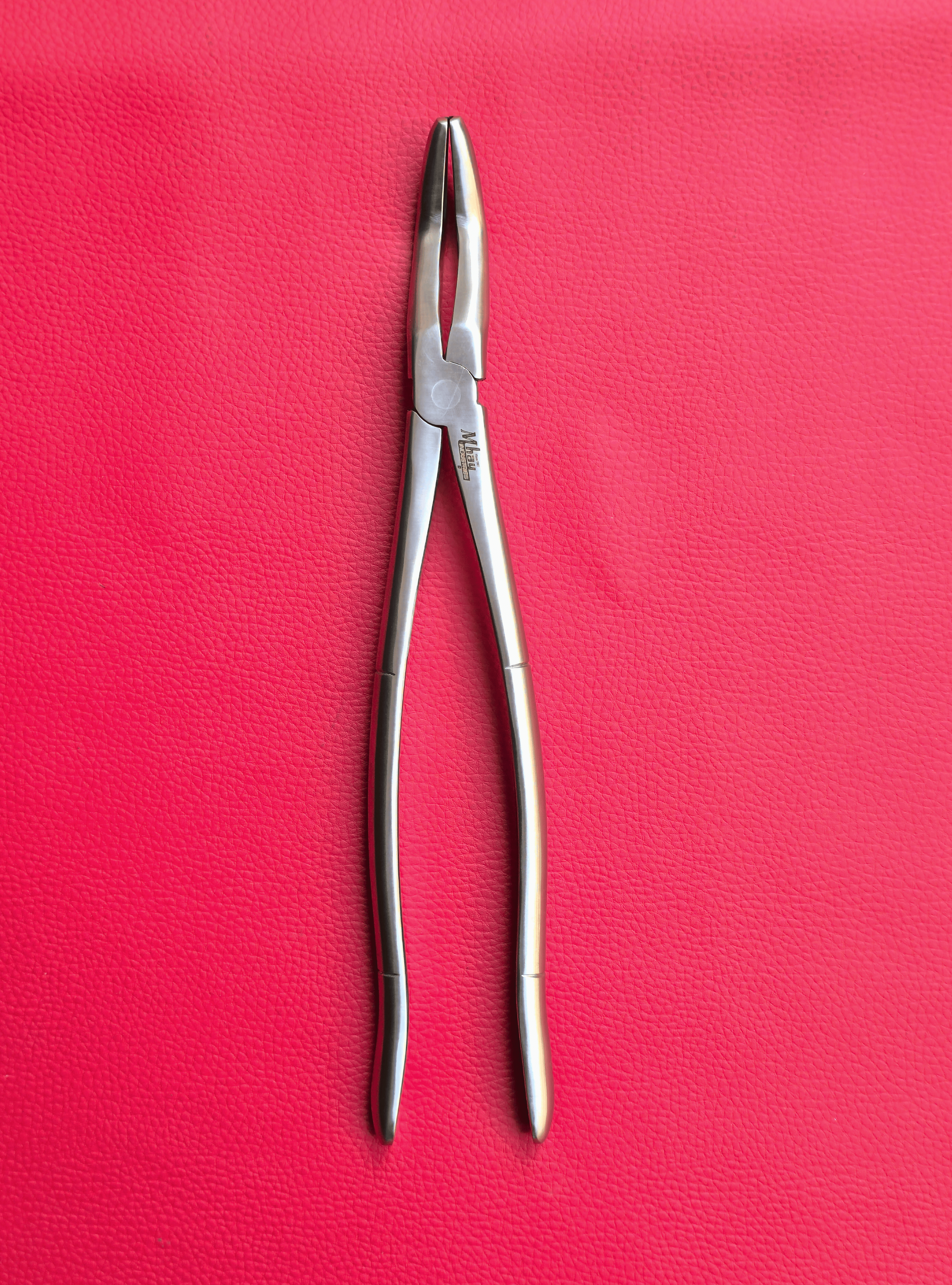 Wolf Teeth Forceps Large