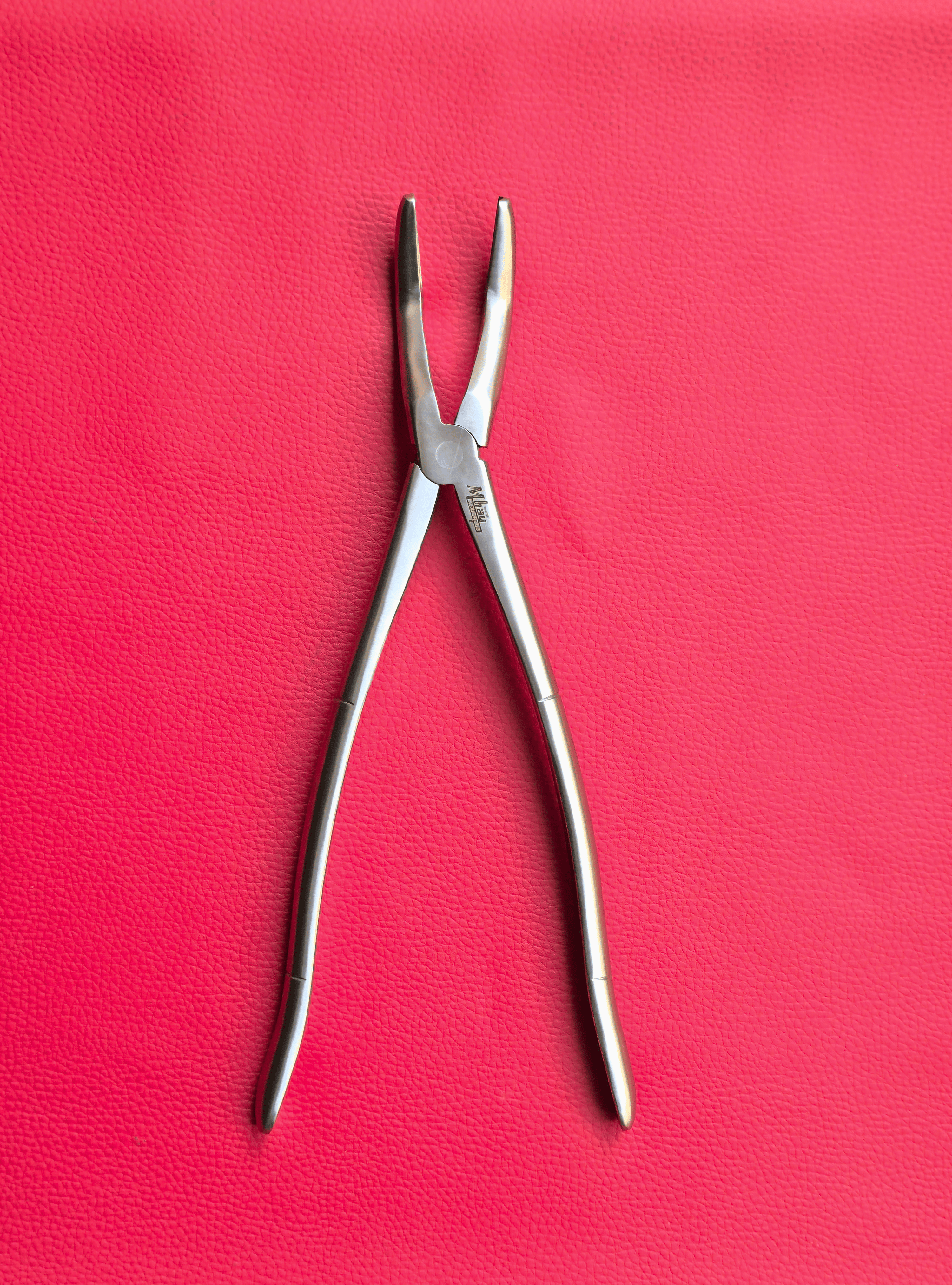 Wolf Teeth Forceps Large