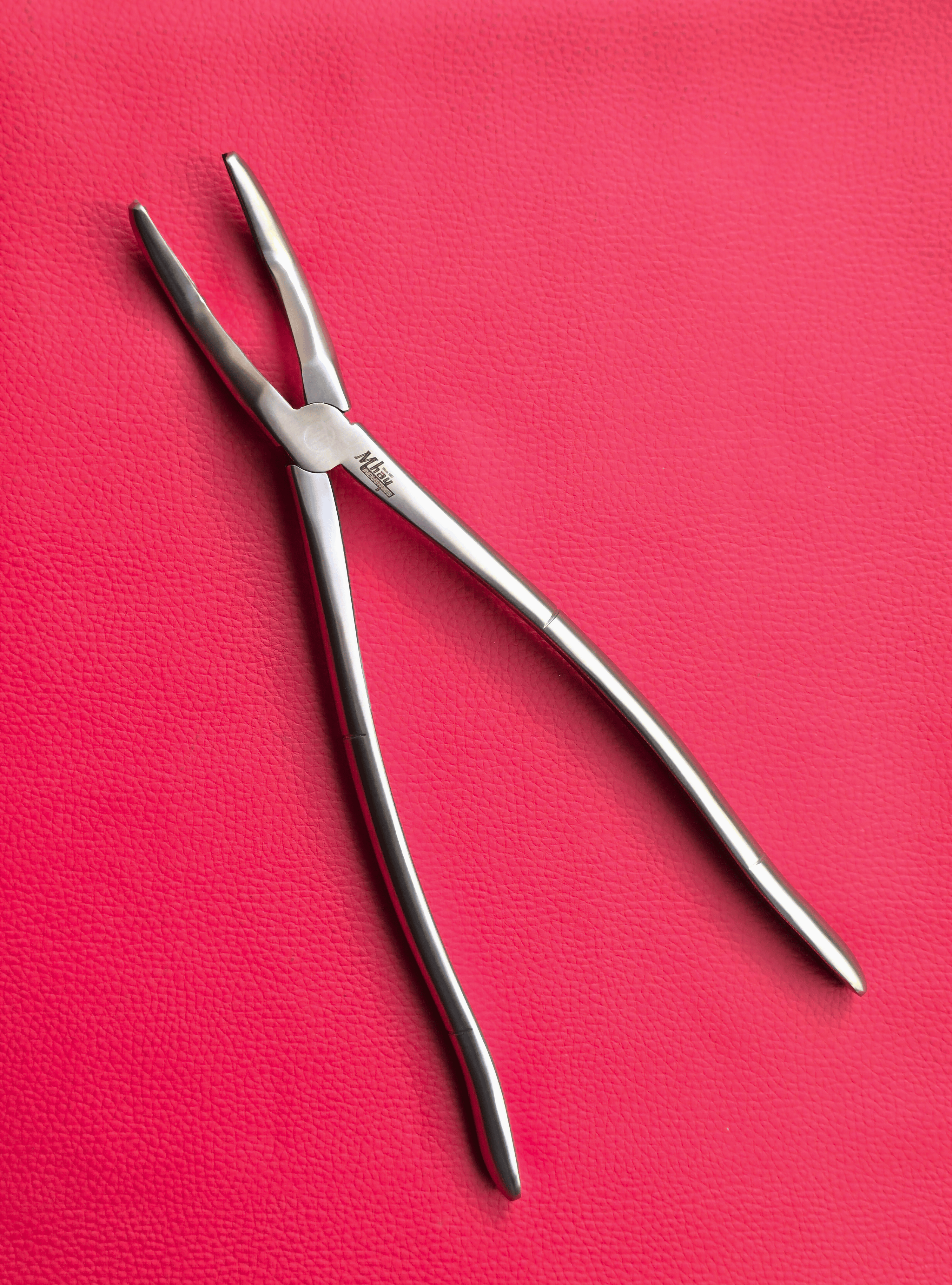 Wolf Teeth Forceps Large