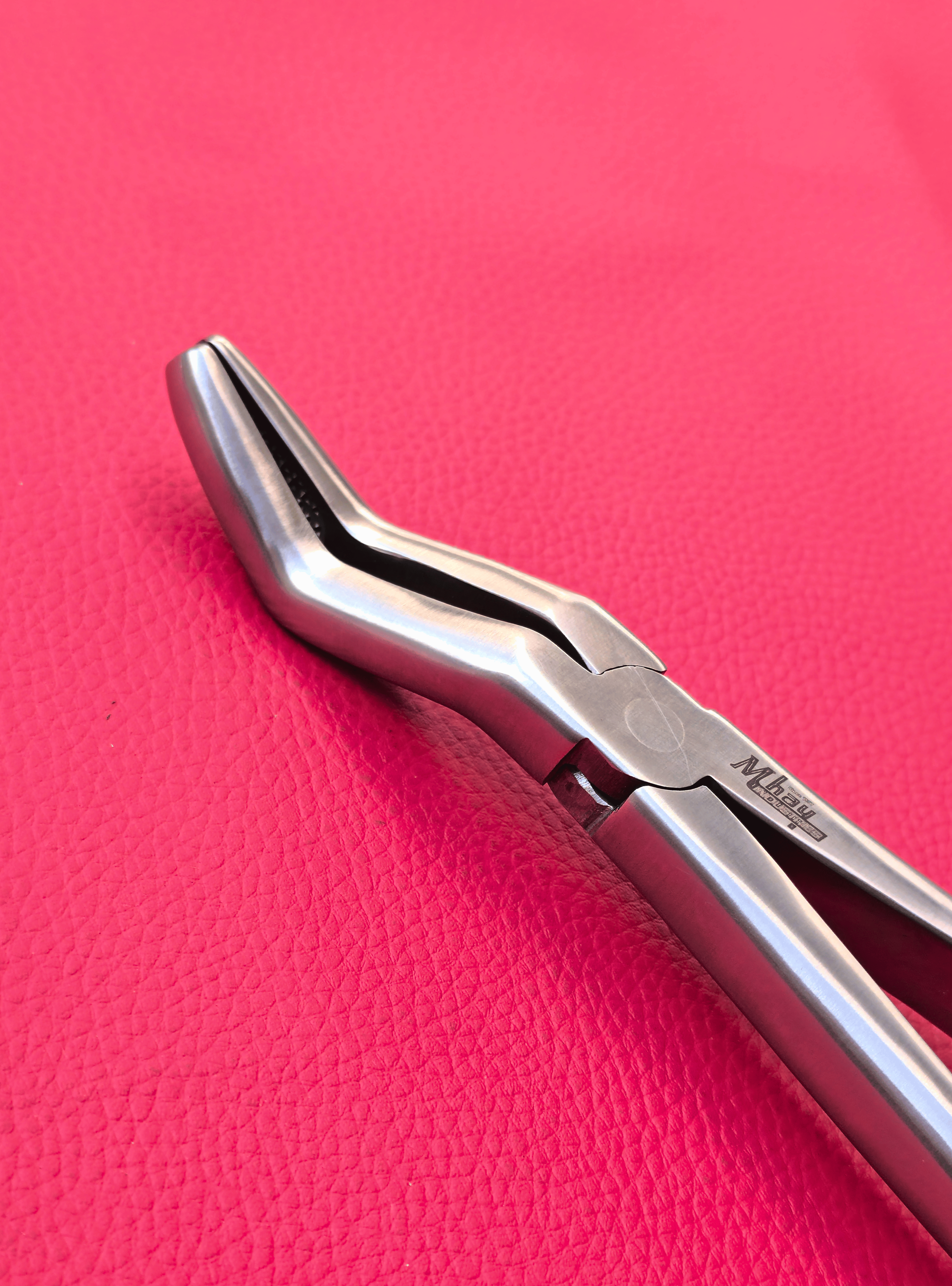 Wolf Teeth Forceps Large