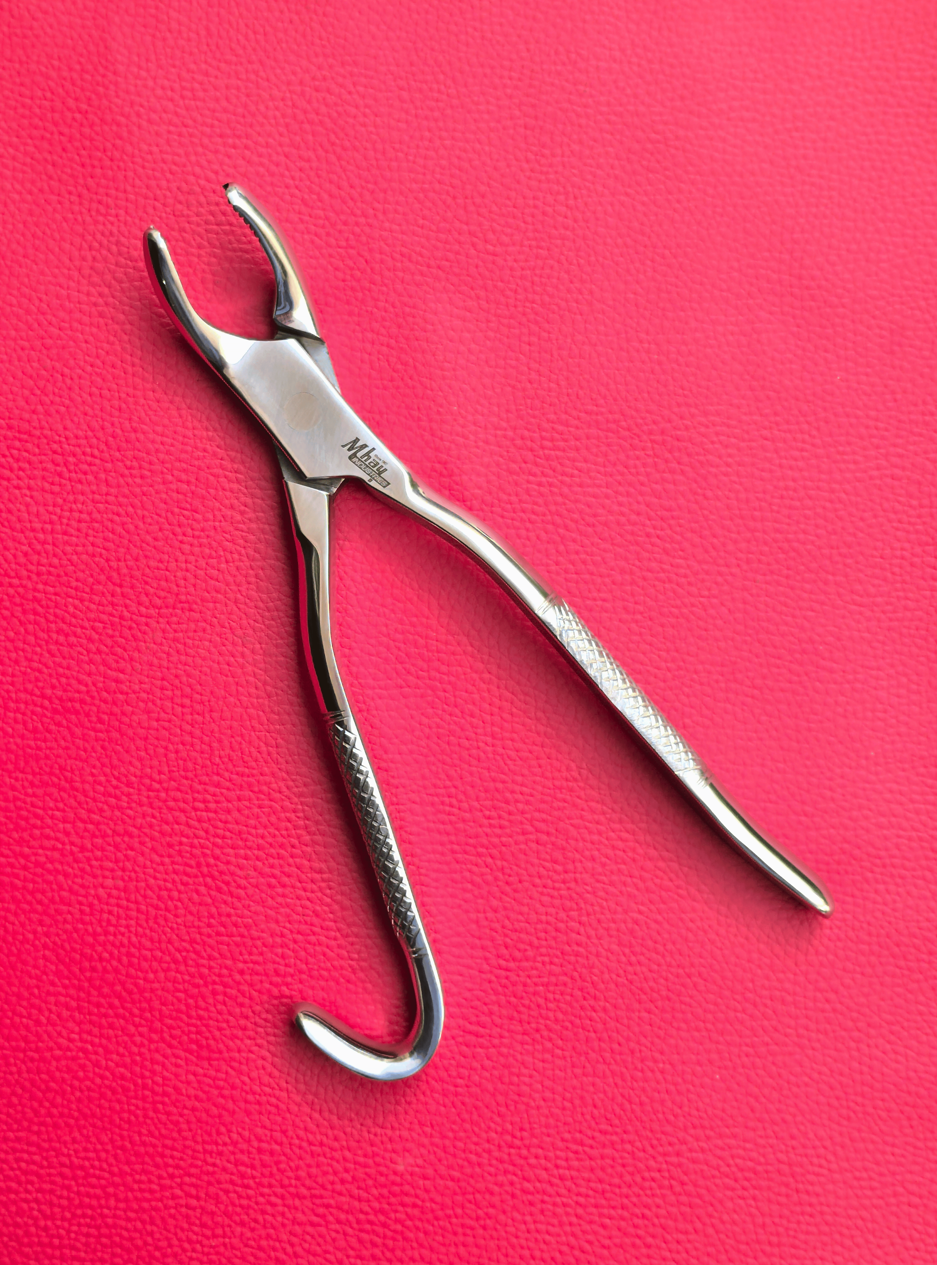 Wolf Tooth Forceps 9.5"