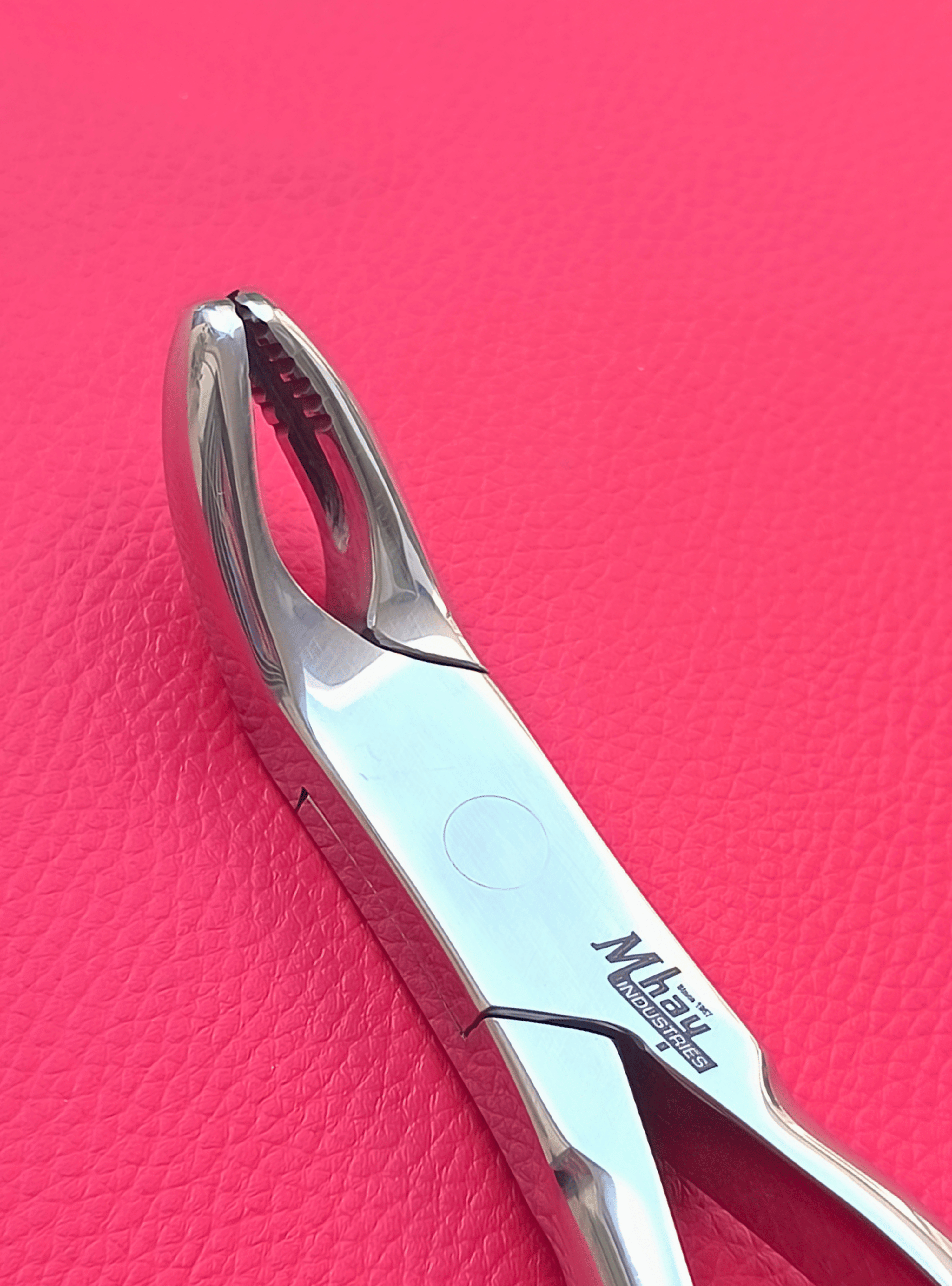 Wolf Tooth Forceps 9.5"