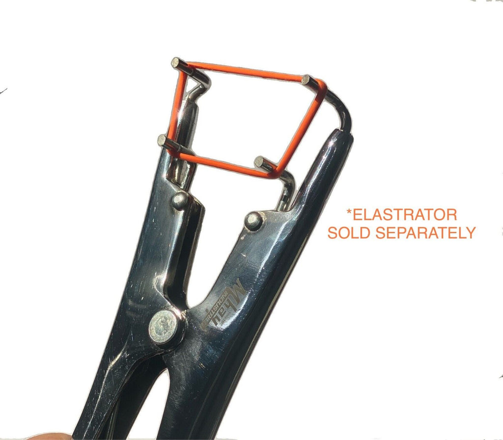 100 Elastrator Bands for Castration for Dogs, Calves, Goats, Pigs and Livestock