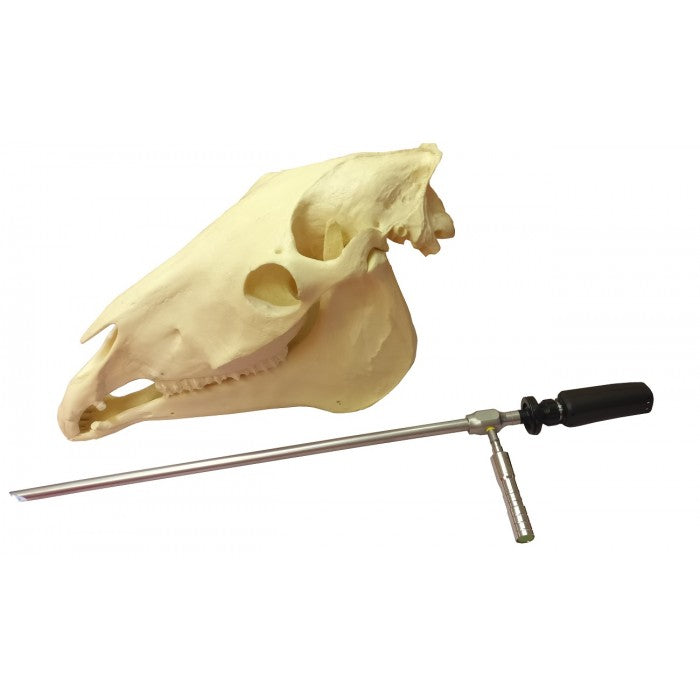 Fortschrittliche kabellose Dentalkamera von Equine für veterinärmedizinische Eingriffe