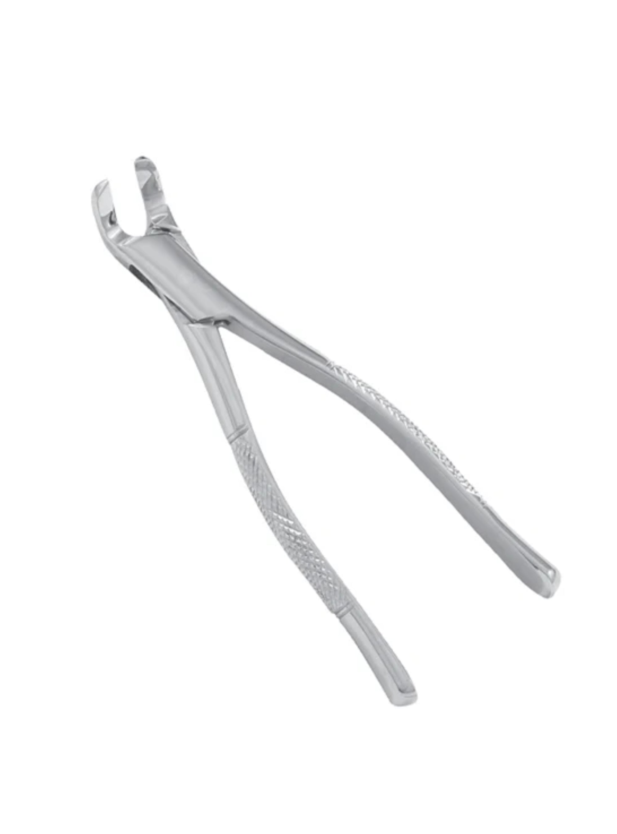 Wolf Incisor Tooth Spreader Forceps for Equine Dental Procedures